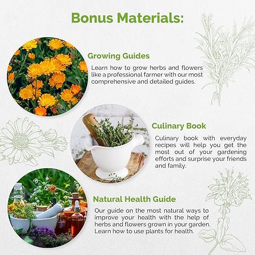 Miniatura 4 de Paquete variado de 25 hierbas culinarias y semillas de flores comestibles para plantar en interiores y exteriores. Más de 6400 semillas de jardín de