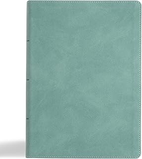 NASB Notetaking Bible, Large Print Edition, Earthen Teal SuedeSoft LeatherTouch, Single-Column, Black Letter, Wide Margins, Journaling Space, Reading Plan, Sewn Binding, Easy-to-Read Karmina Type