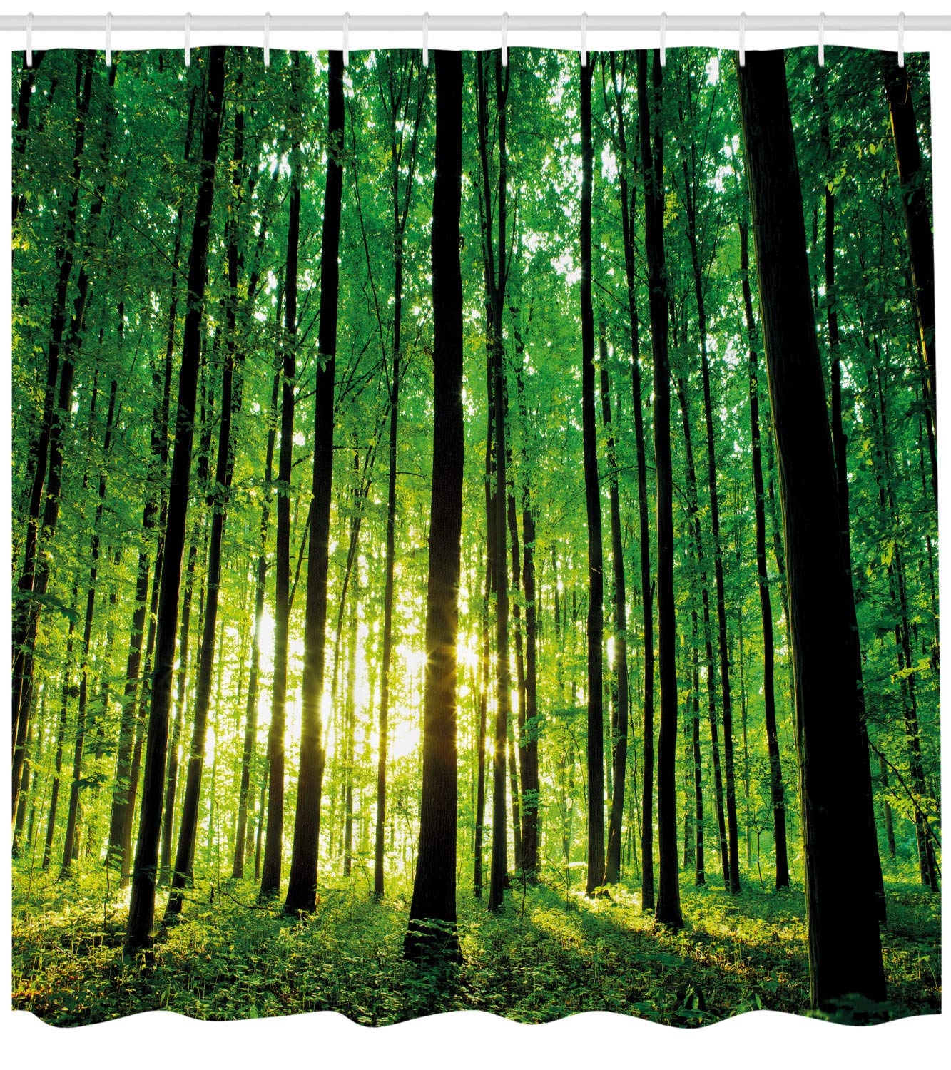 ABAKUHAUS Forest Shower Curtain, Green Woodland at Sunrise Scenic Morning Nature Environment Ecology Serenity - Image 2