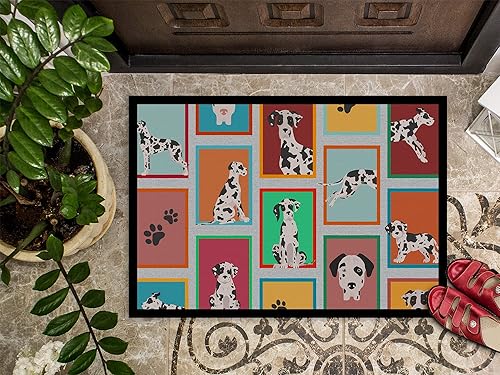 Vista 568 de Caroline's Treasures MLM1087MAT - Felpudo de perro de montaña bernés de 18 x 27 pulgadas, para interiores y exteriores, para entrada, Bernese