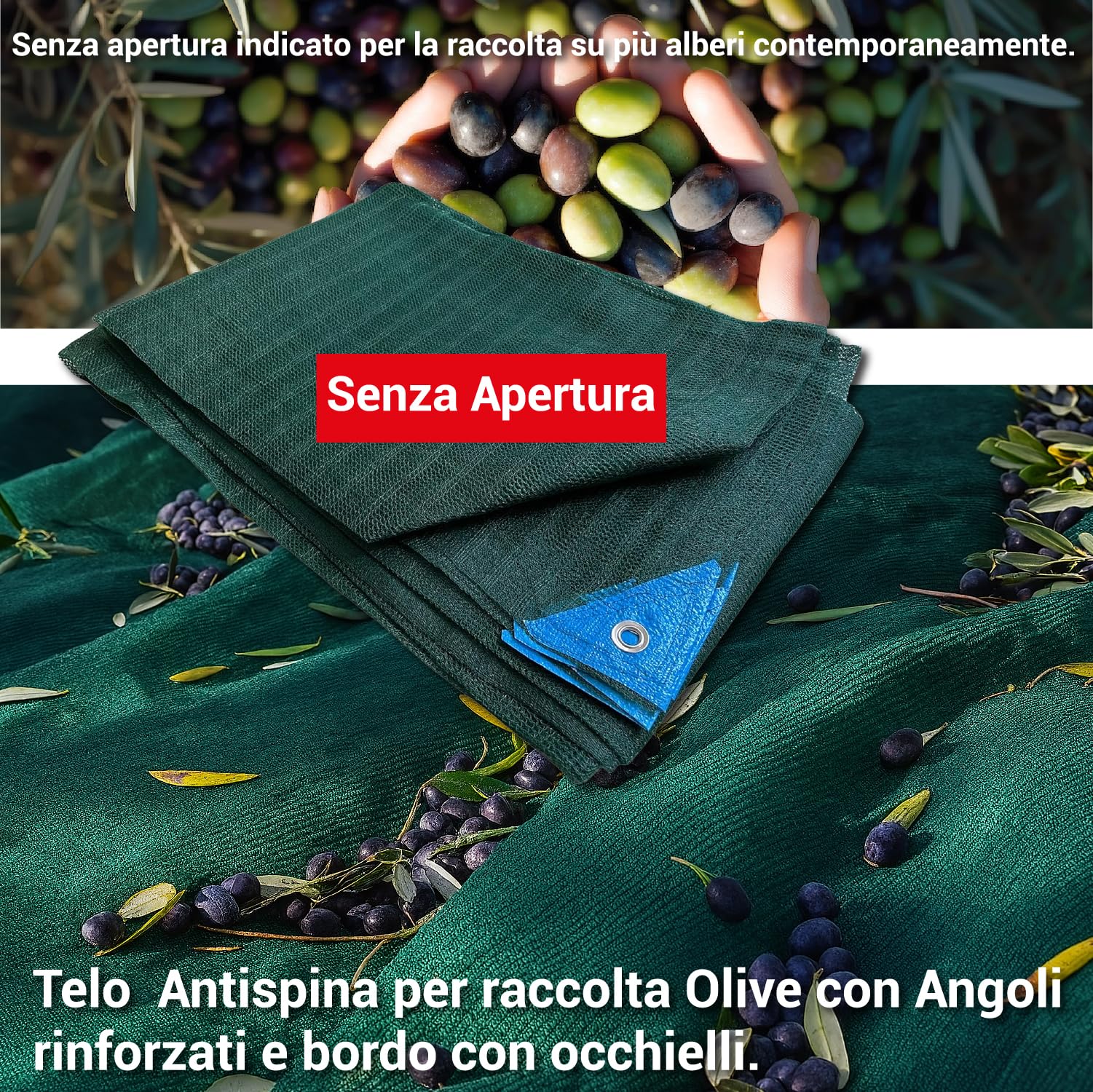 Crisalide® Telo Raccolta Olive Antispine 90 gr/m² Senza Apertura con Occhielli Rinforzati – Disponibile in 13 Misure (da 3x6m a 12x14m) (6 * 8m)