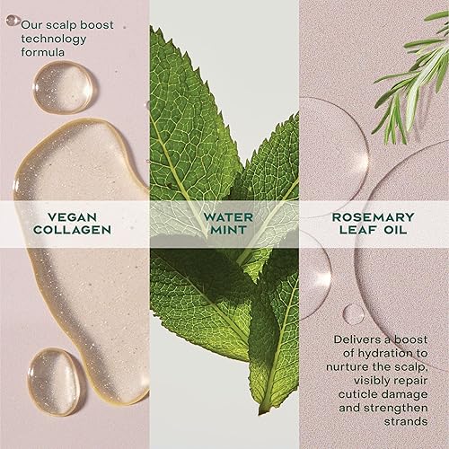 Miniatura 9 de Aceite para el cuero cabelludo y el cabello Shea Moisture de romero y vegano colágeno para proteger el cuero cabelludo y fortalecer el cabello con