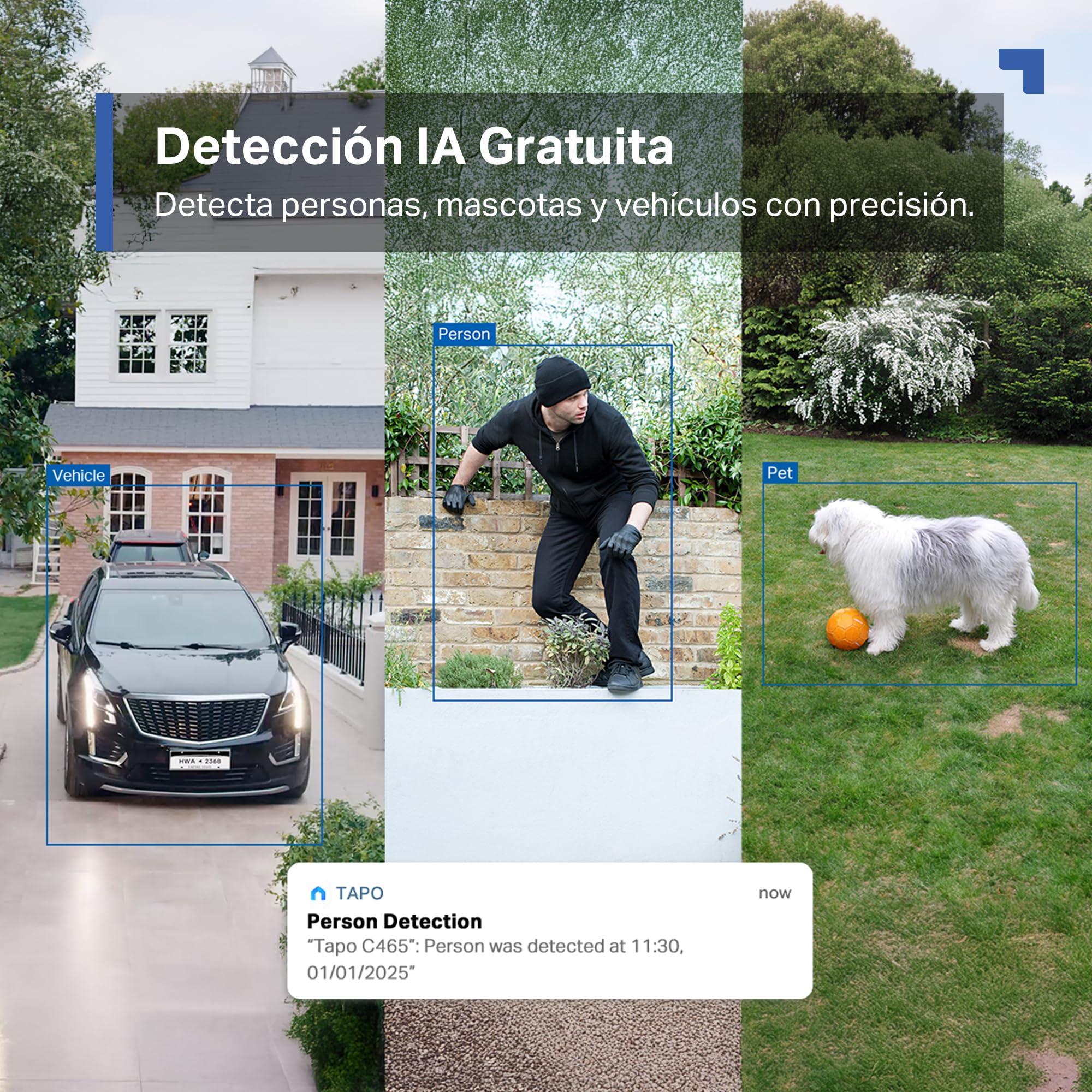 Tapo C465 - Cámara vigilancia WiFi Exterior, 4K, Paneles solares Integrados | Detección de Movimiento, Personas, Mascotas y Vehículos. Con Panel Solar. Visión Nocturna. IP65. App Tapo.