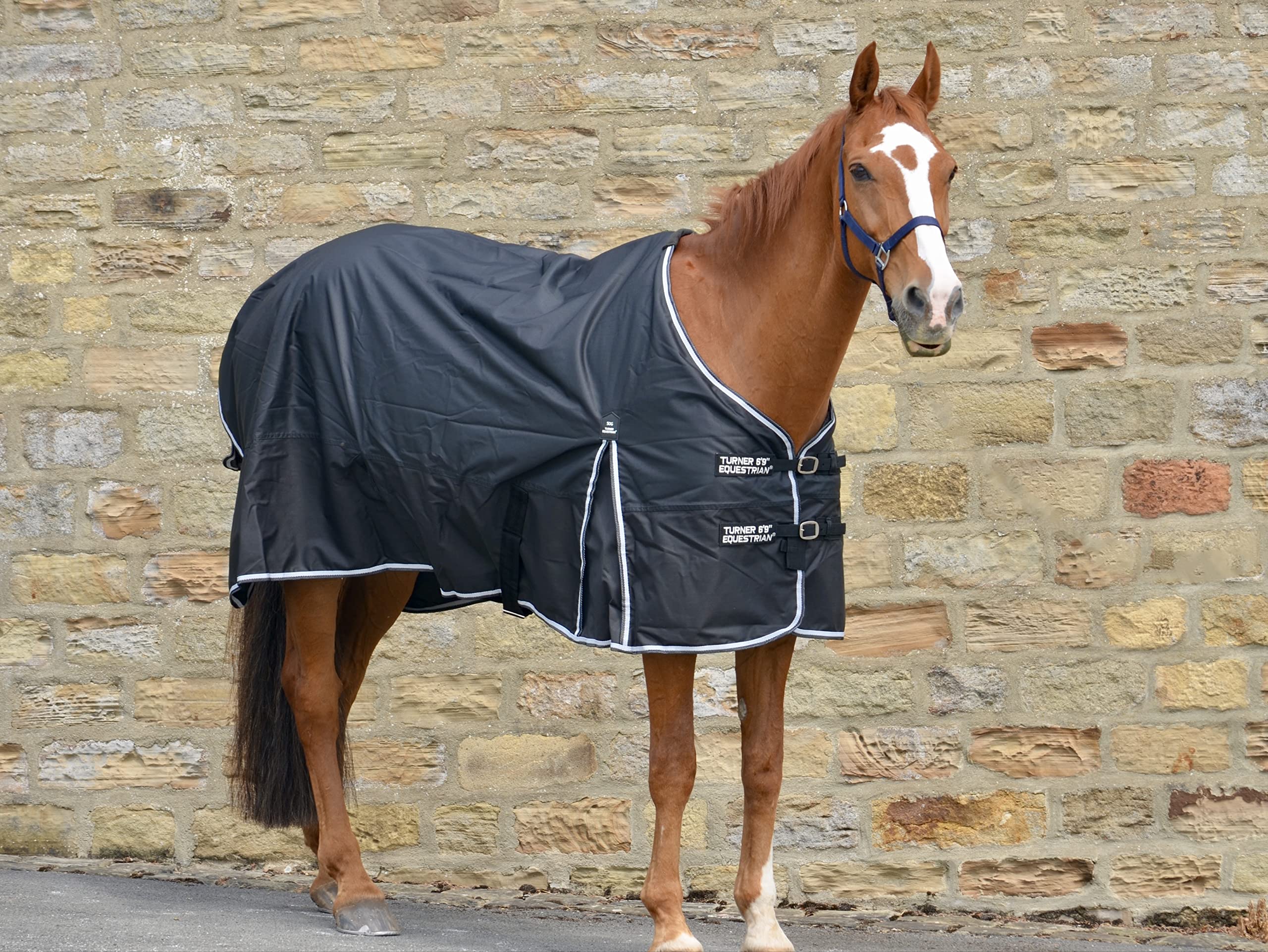 Turner Equestrian Lightweight Waterproof 50g Fill Ripstop Turnout Rug (6'9", Black)