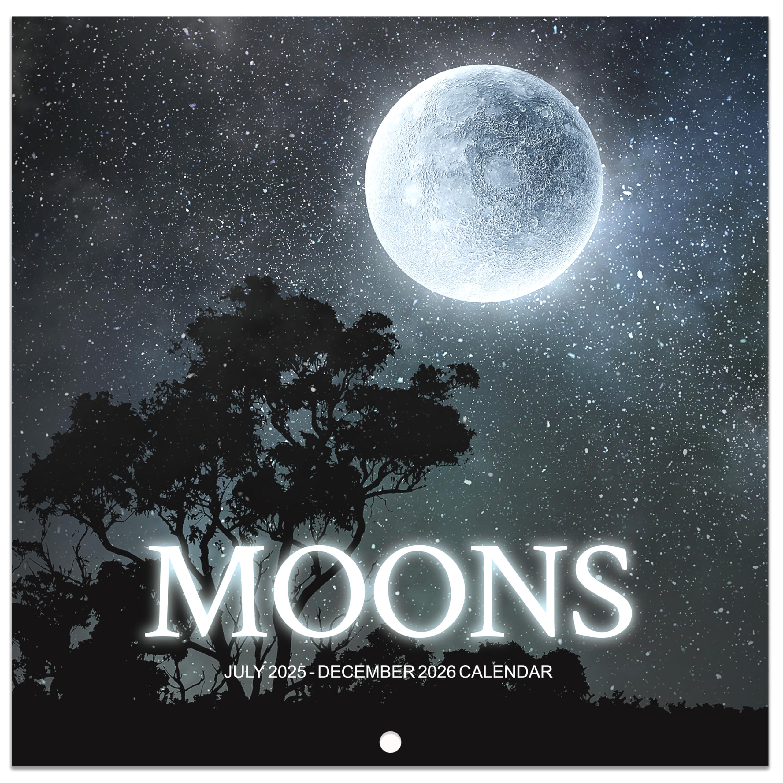 2024 Wall Calendar, Calendar 2024, January 2024, December 2024, 11.63'' × 23.26''(Open), 2024 Calendar with Moon Phases