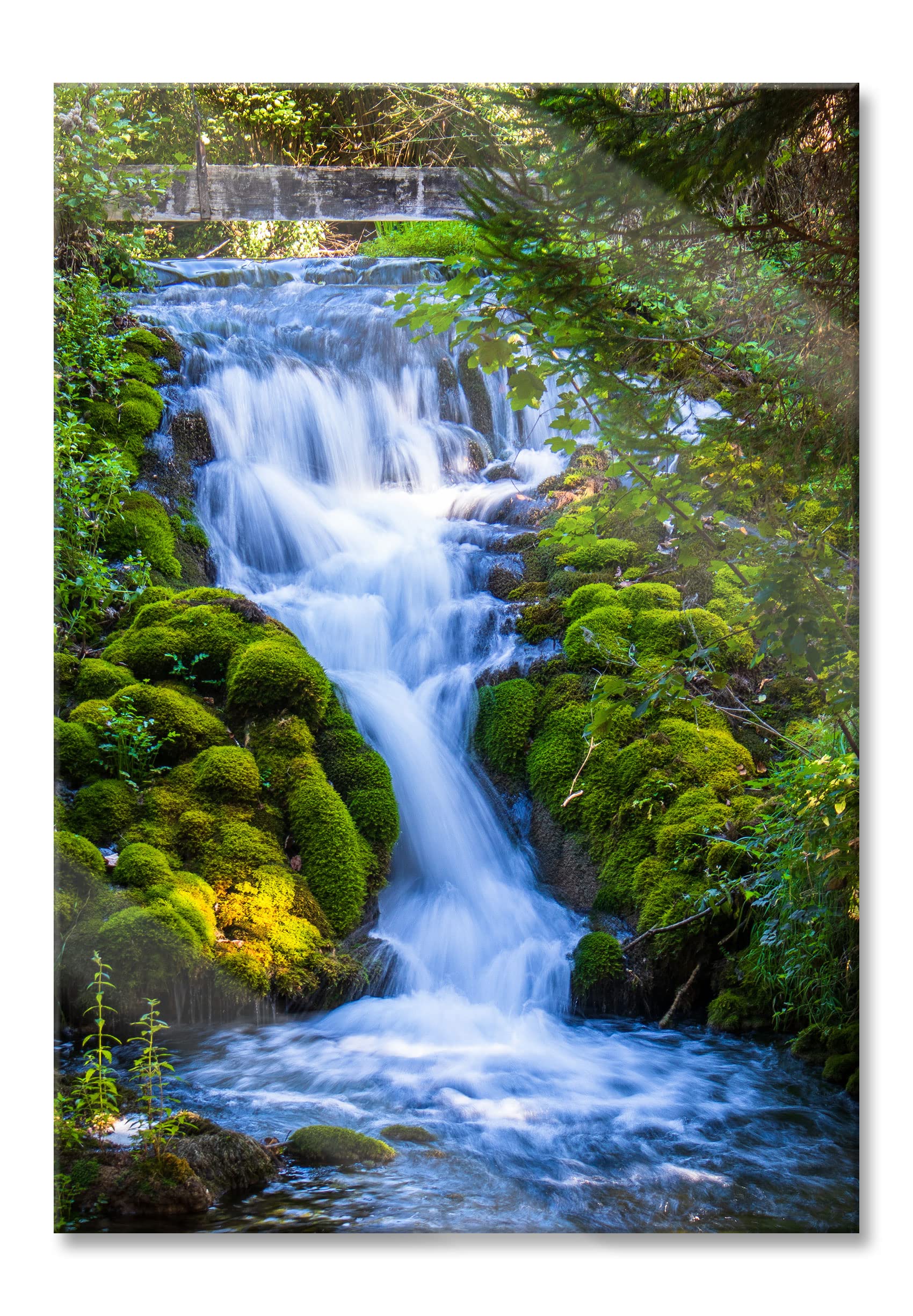 Pixxprint Glasbild, Wandbild aus Echtglas, Wasserfall im grünen Wald, 60x80 cm, inkl. Aufhängung und Abstandshalter