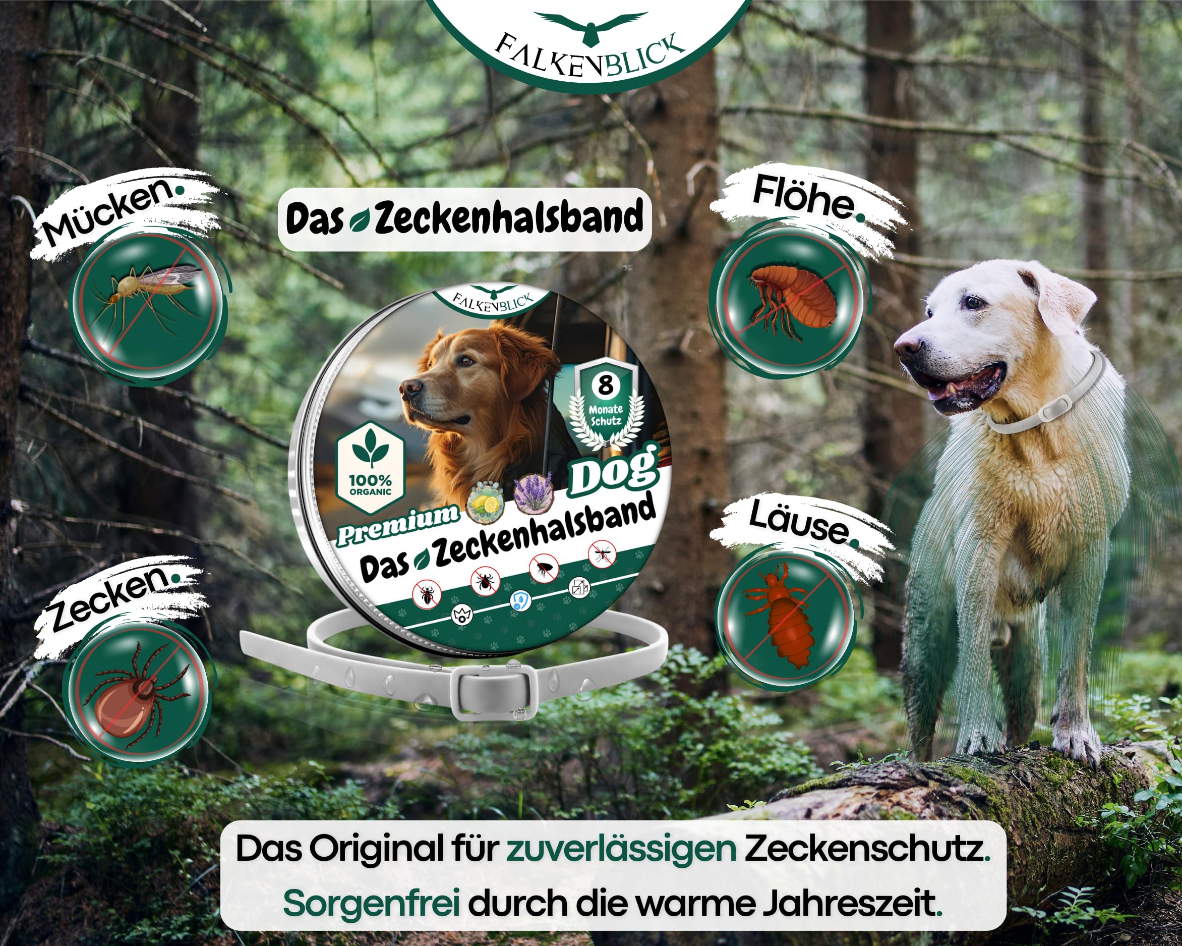 Das Zeckenhalsband für Hunde 100% Pflanzliches Premium Öl 2026 | Wirkungsvoller Schutz gegen Zecken Flöhe Mücken Läuse Ungeziefer Lavendel Zitroneneukalyptus - 8 Monate Wirkungsdauer