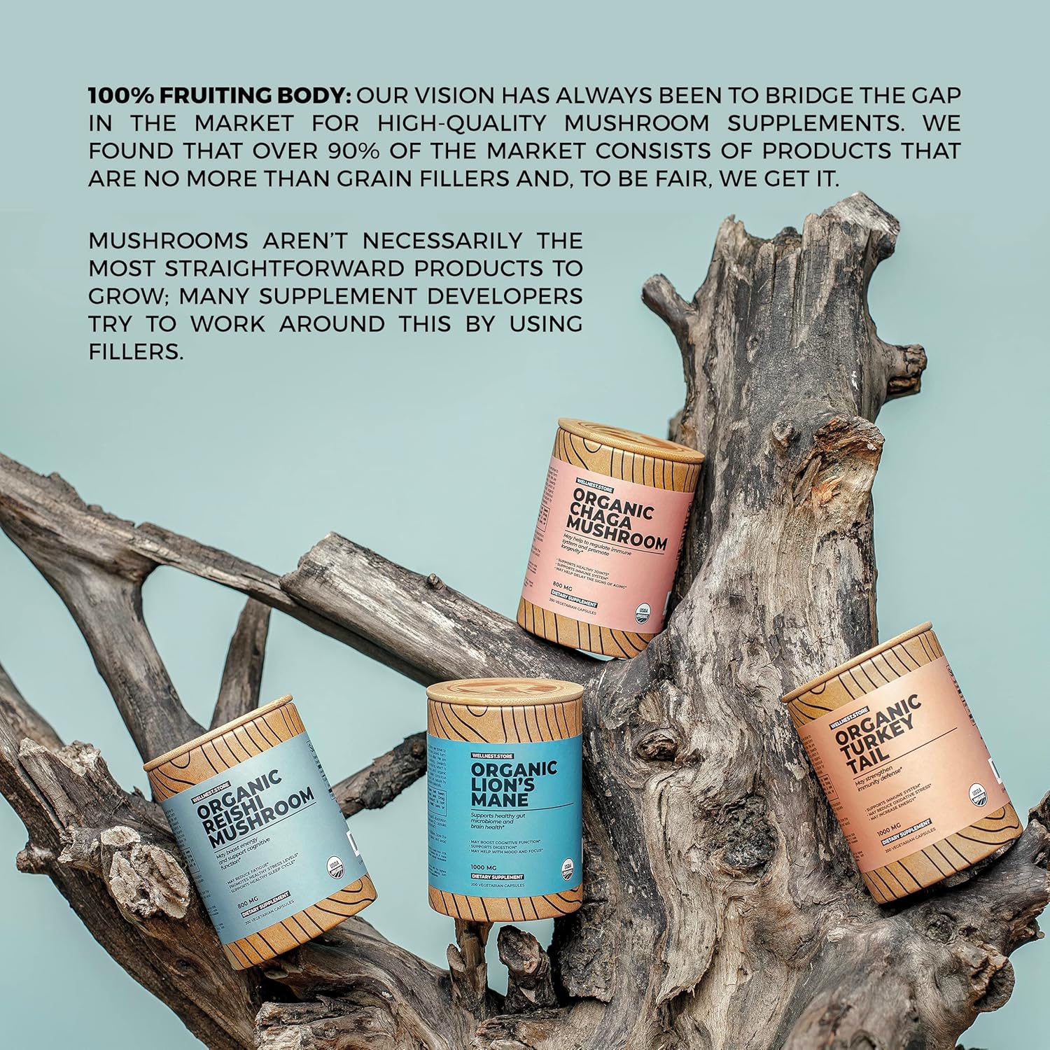 Wellnest.Store Turkey Tail Organic Mushroom (Trametes Extract) 60 Veggie Caps - Immune Support Supplement; Promotes Growth of Beneficial Bacteria in The Gut + Boosts Energy - Image 8