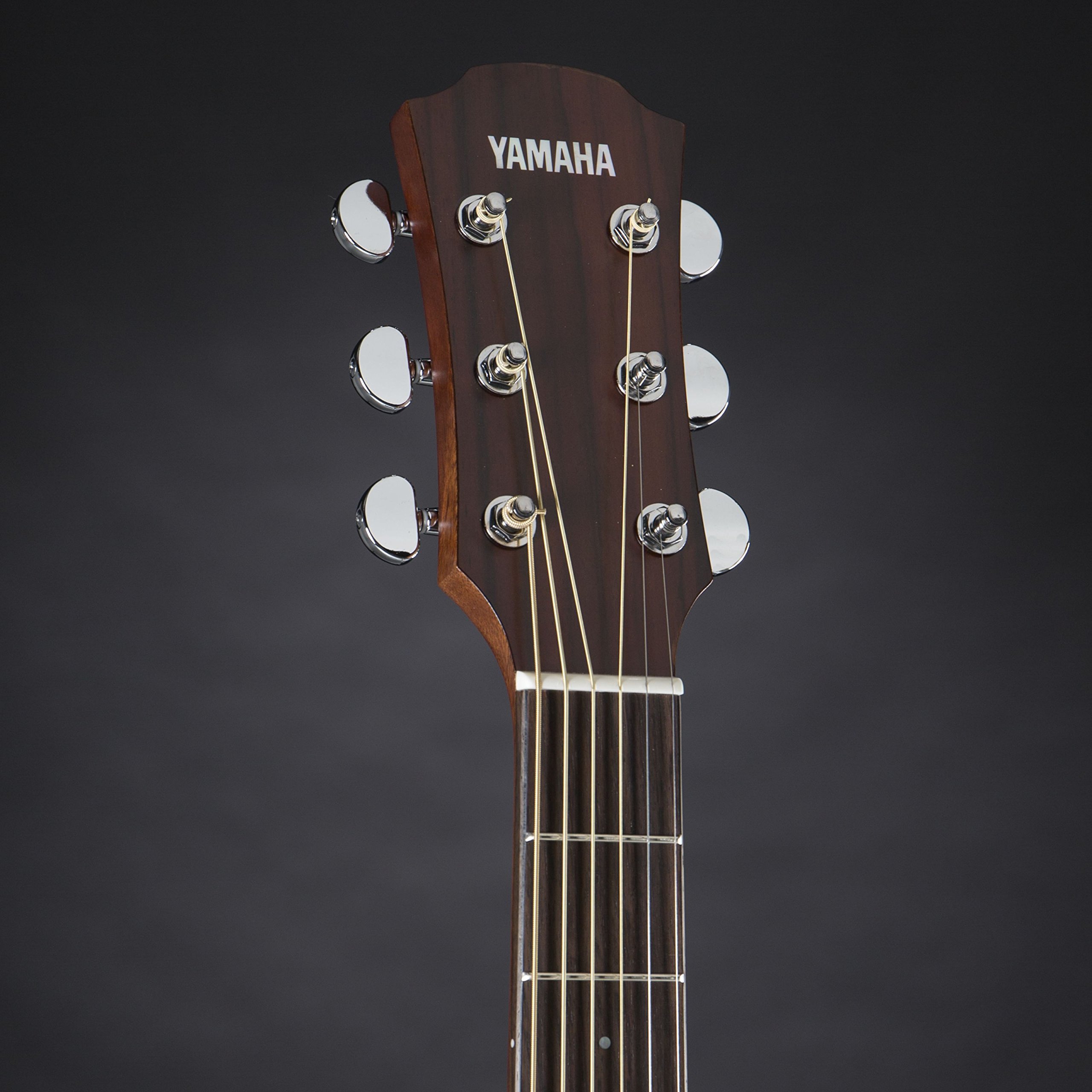 Amazon | ヤマハ YAMAHA エレアコギター AC1R VN | エレアコギター