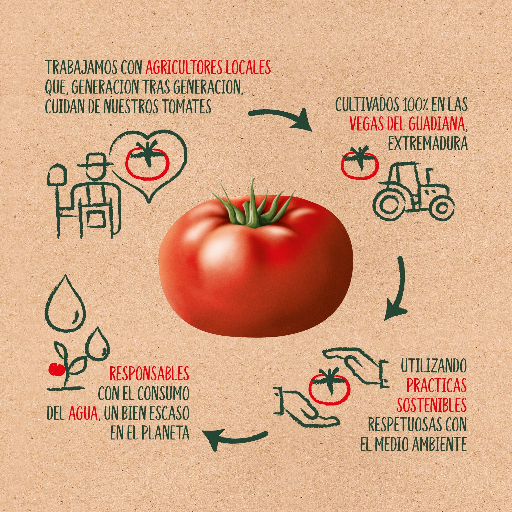 SOLIS Tomate Frito Frasco Cristal - Tomate sin gluten - 360 g - Pack de 5