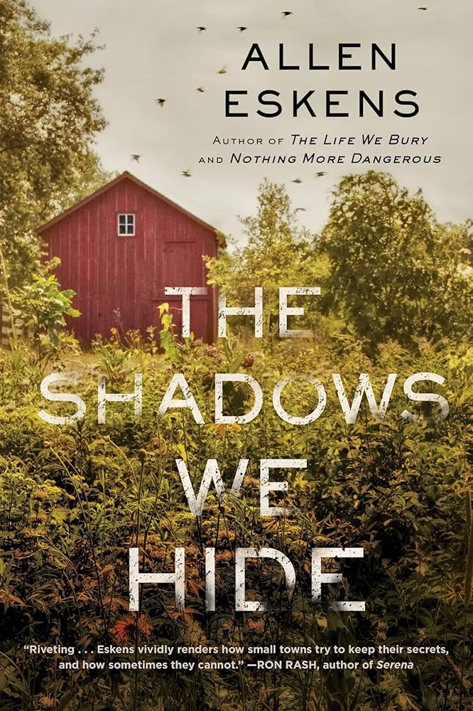 Amazon.com: The Shadows We Hide: The highly acclaimed sequel to