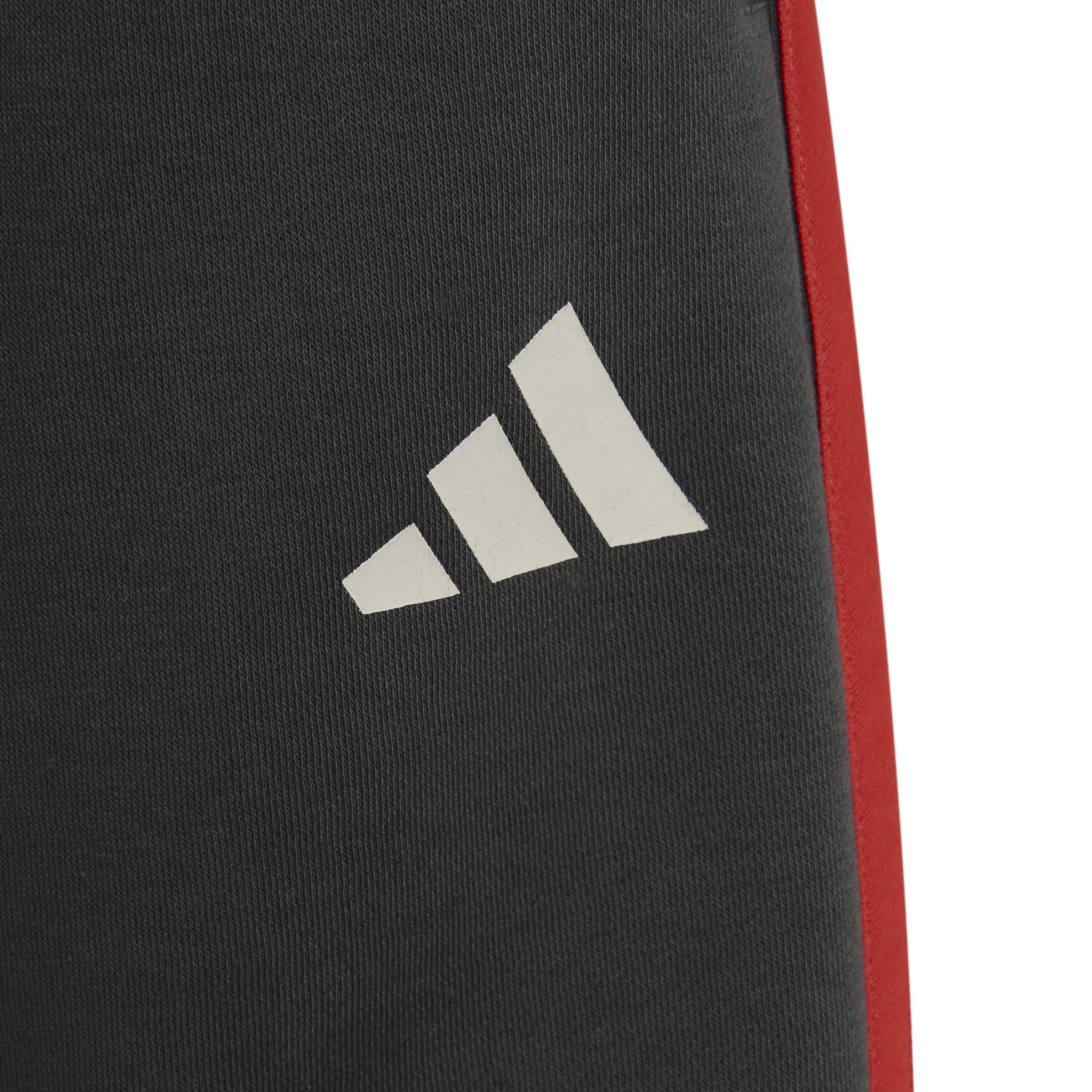 adidas Audi REVOLUT F1 Team DNA Shorts