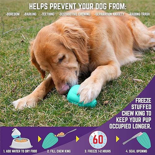 Miniatura 5 de Chew King Dog Box - Pelotas grandes y duraderas, colección de juguetes para tratar y masticar, verde azulado (CM-10100-CS01)