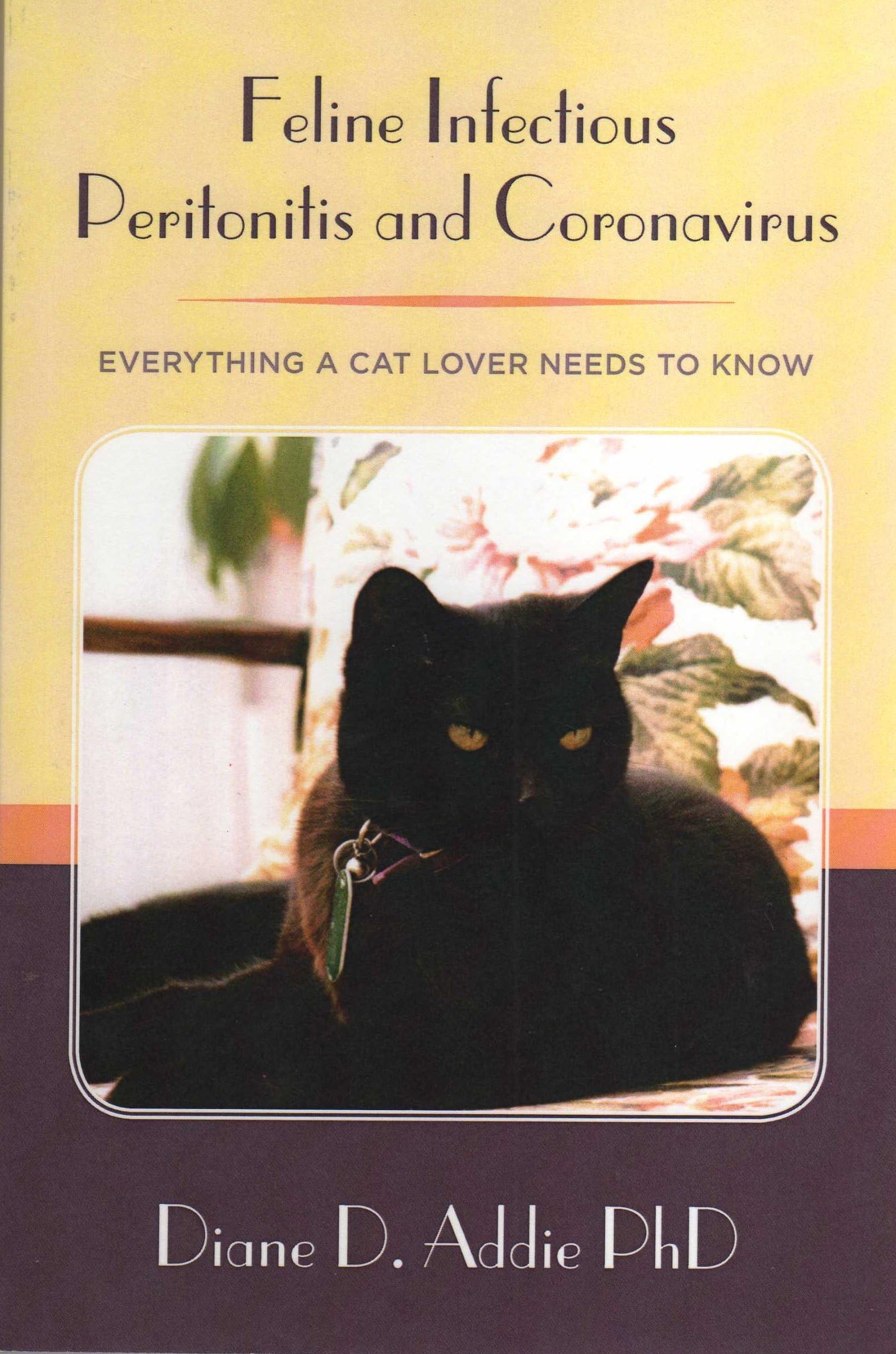 Feline Infectious Peritonitis and Coronavirus: Everything a cat lover needs to know
