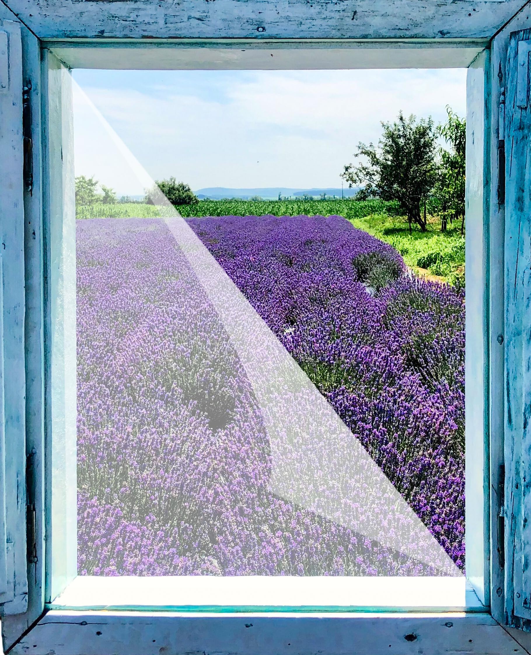 Vabiono White Pollen Protection Fleece Pollen Protection Mesh Insect Protection Pack Of 3 130 X 150 Cm - Can Be Cut To Size For Allergy Sufferers - For Inwards Opening Windows - Includes 2 X Self-Adhesive