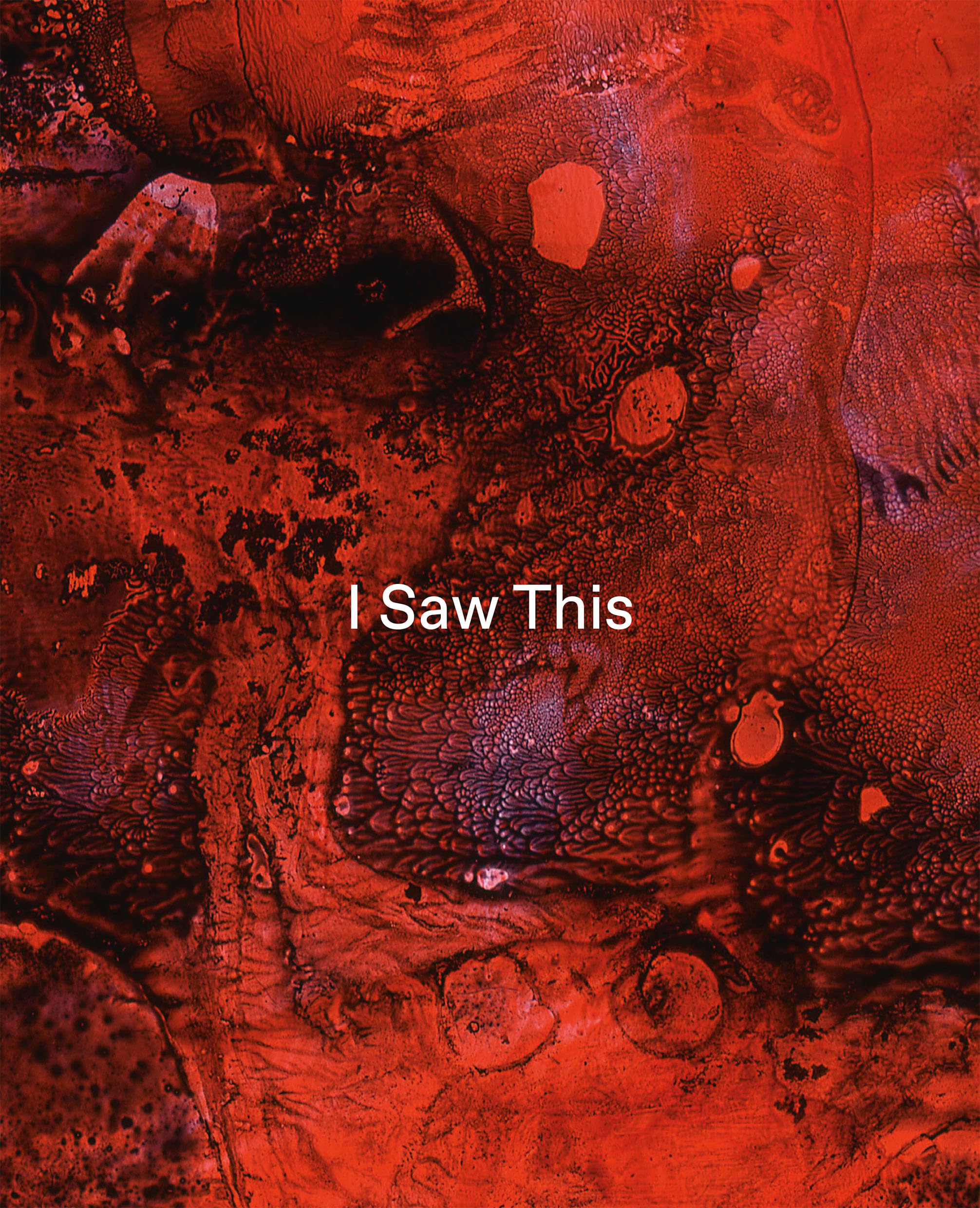 Tom de Freston – I Saw This by Habda Rashid (Paperback Book)