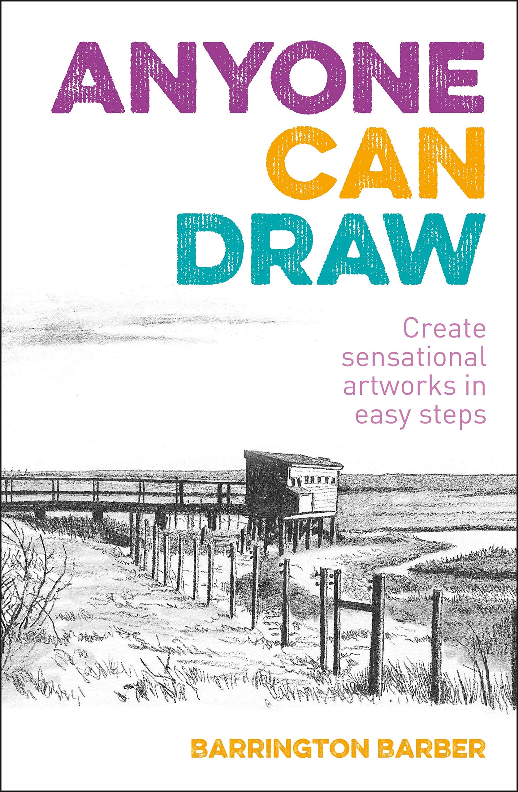 Anyone Can Draw: Create Sensational Artworks in Easy Steps