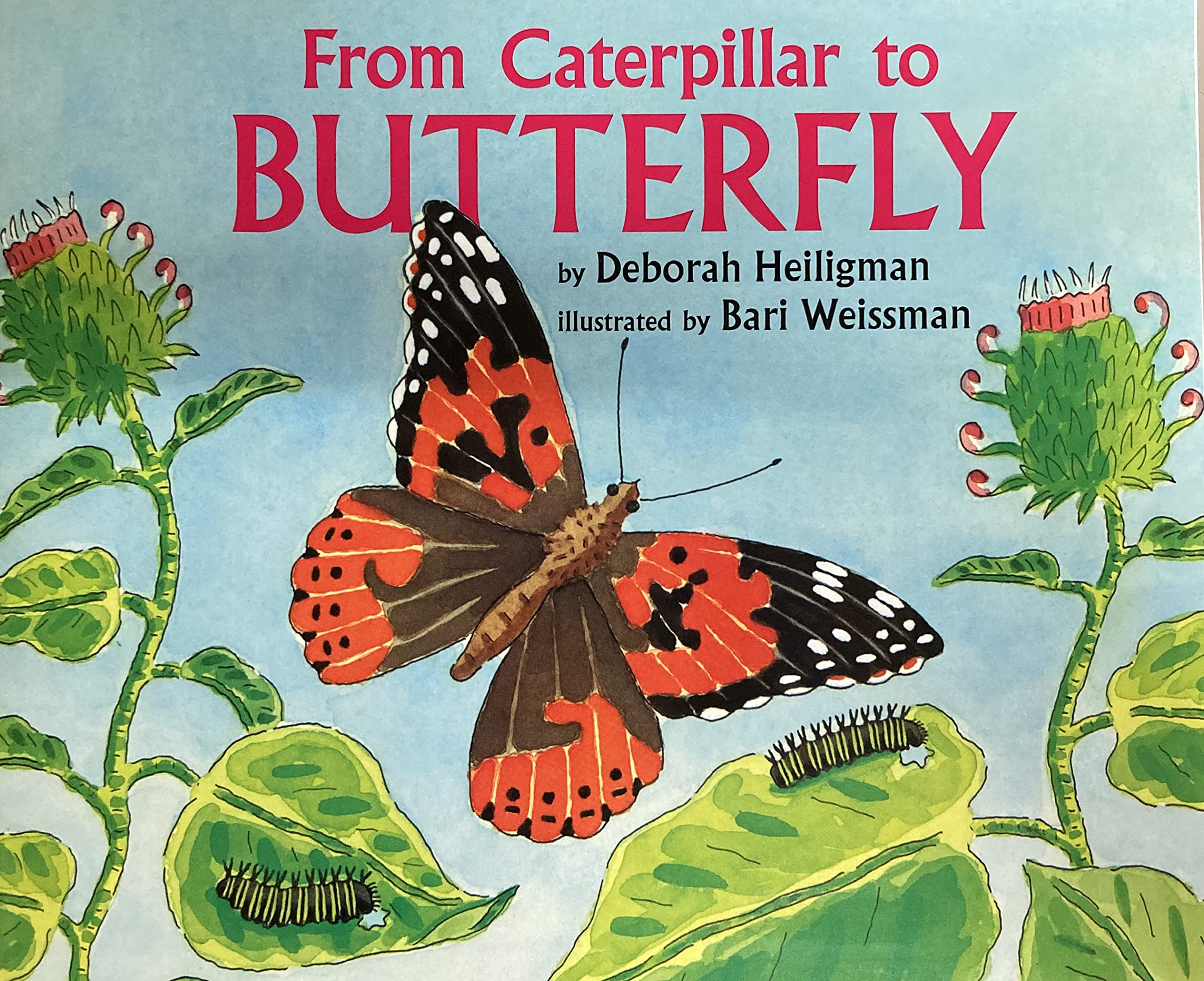 From Caterpillar to Butterfly: Little Big Book Grade K (Journeys)