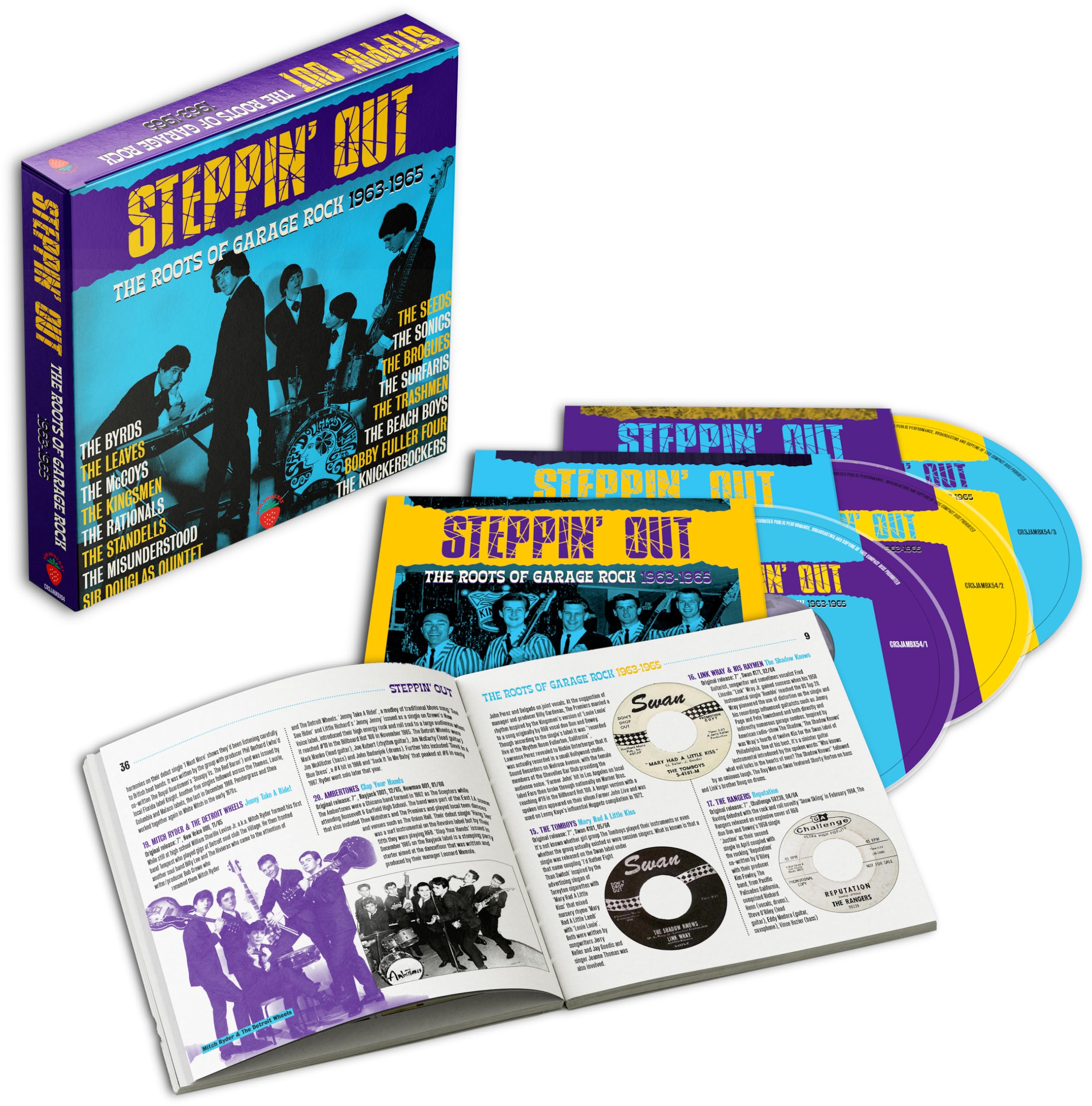 Steppin' Out - The Roots Of Garage Rock 1963 - 1965