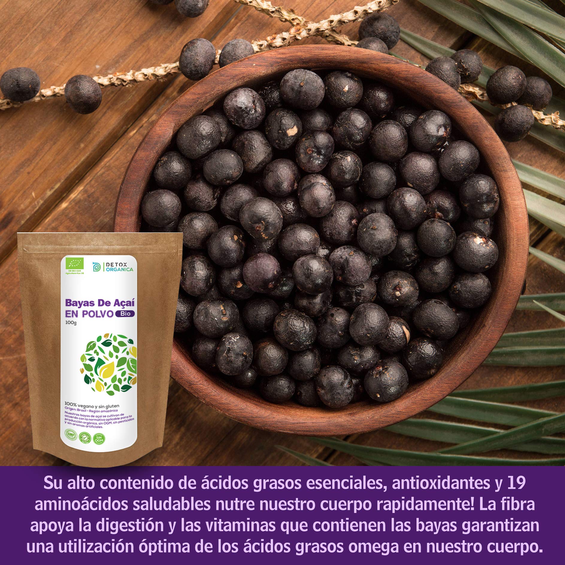 Detox Organica Bayas De Acai Polvo Orgánico - 100g Açaí en Polvo BIO -Bayas De Acai Organico Freeze-Dried – Extracto Crudo de la Pulpa – Cultivado en Brasil, Liofilizado