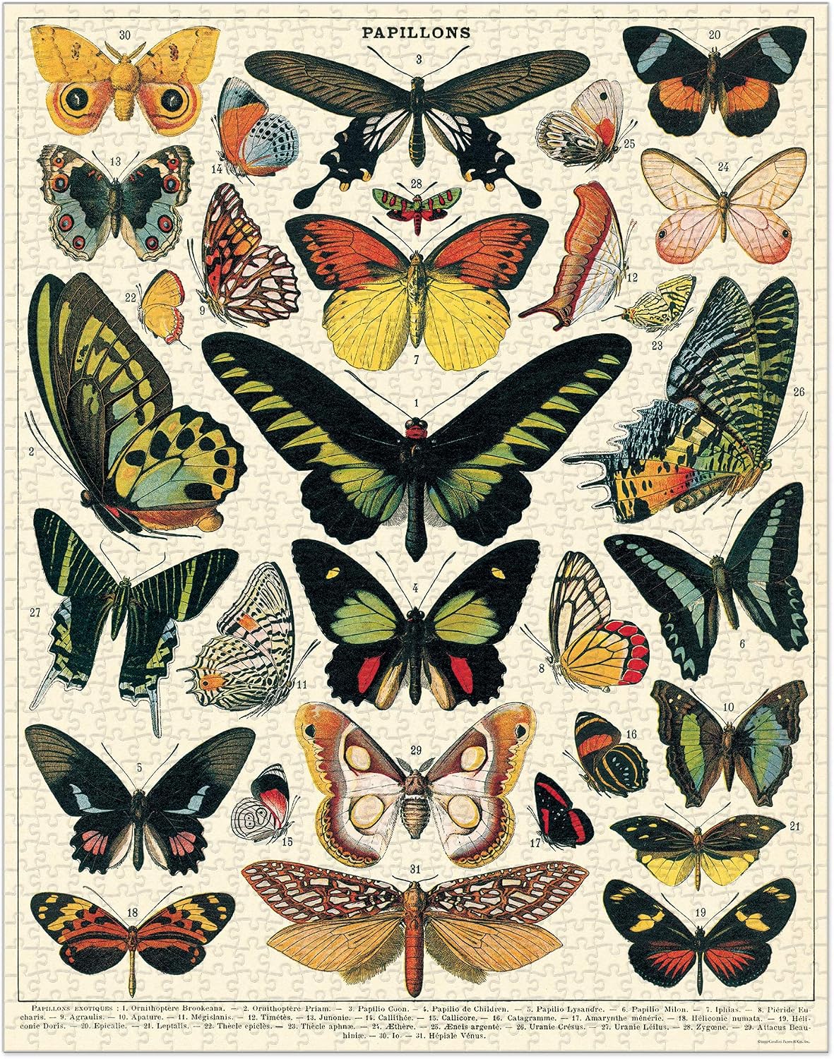 Butterflies 1,000 Piece Puzzle image 2