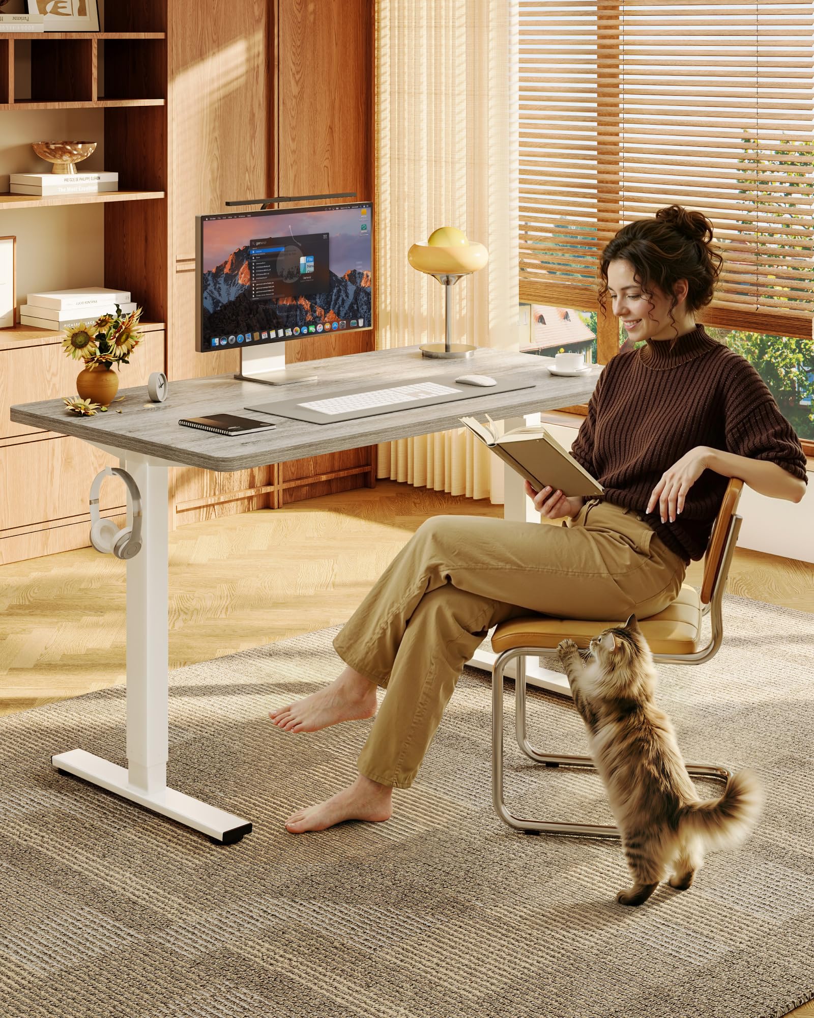 Amazon.com: FLEXISPOT EN1 55