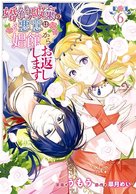 婚約破棄の悪意は娼館からお返しします 6の表紙イラスト