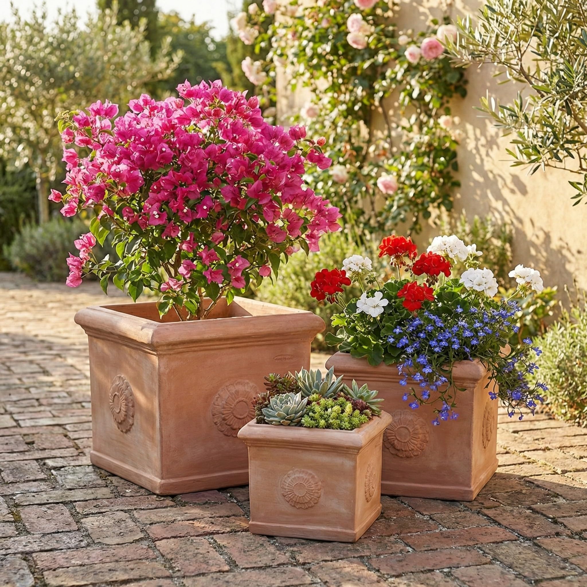 teramico Pot de Fleurs Cubo Con Rosone fabriqué à la Main en Terre Cuite d'origine résistant au Gel (25 cm)