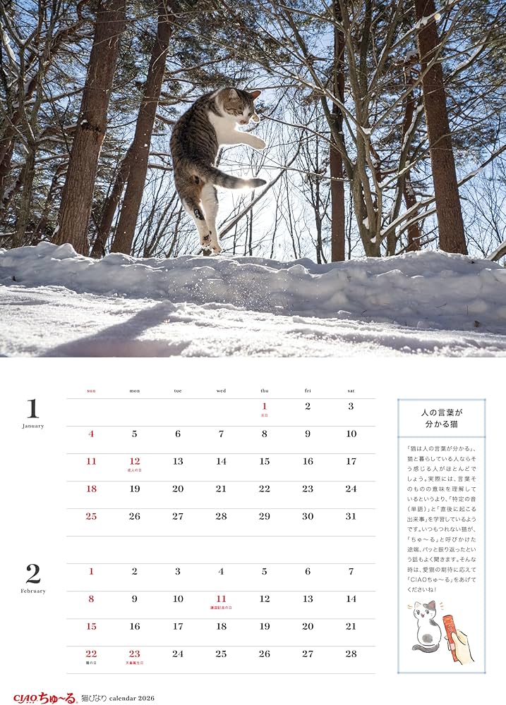 特別付録：2026カレンダー】猫びより 2026年 冬号 | 辰巳出版 |本
