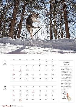 特別付録：2026カレンダー】猫びより 2026年 冬号 | 辰巳出版 |本