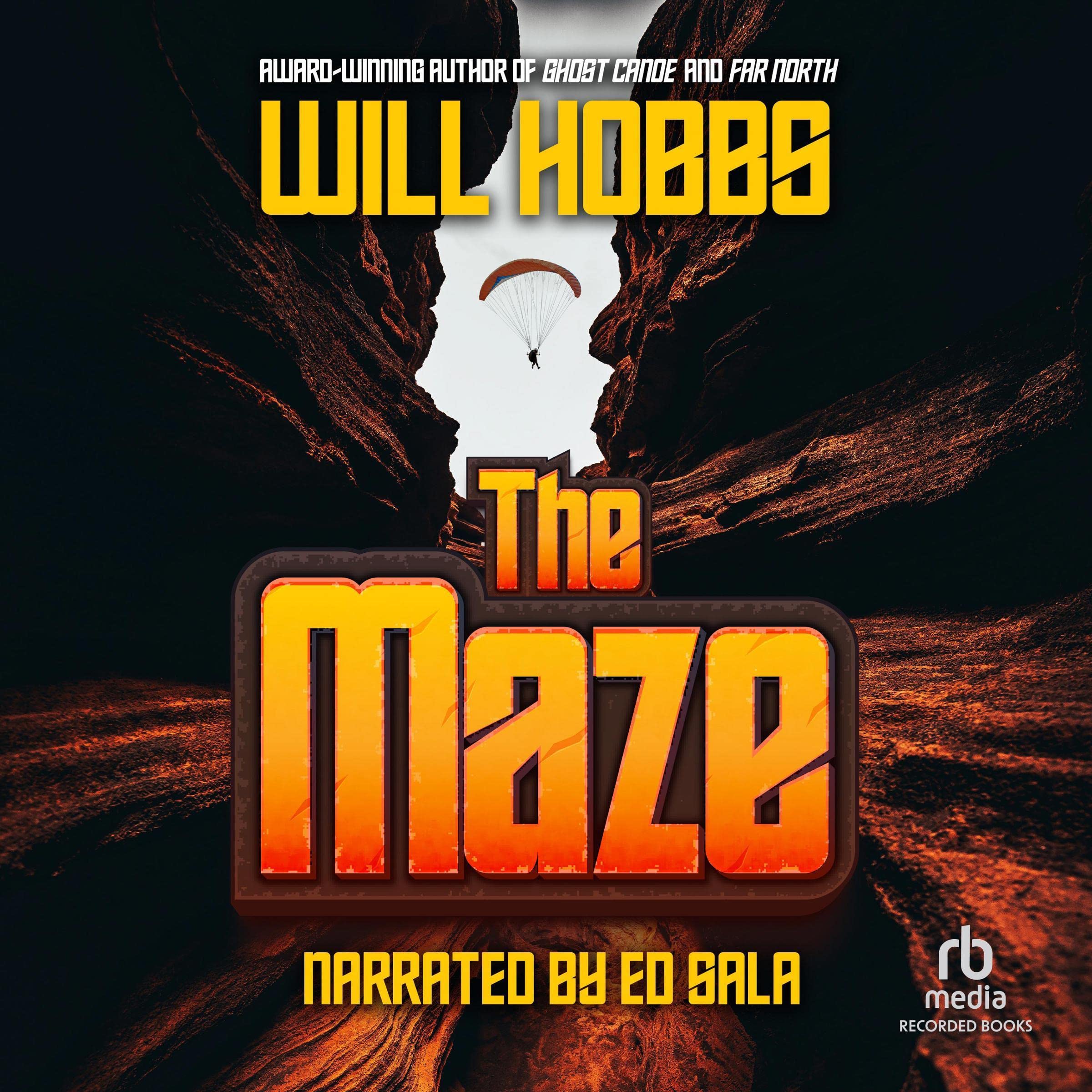 Cover art for The Maze