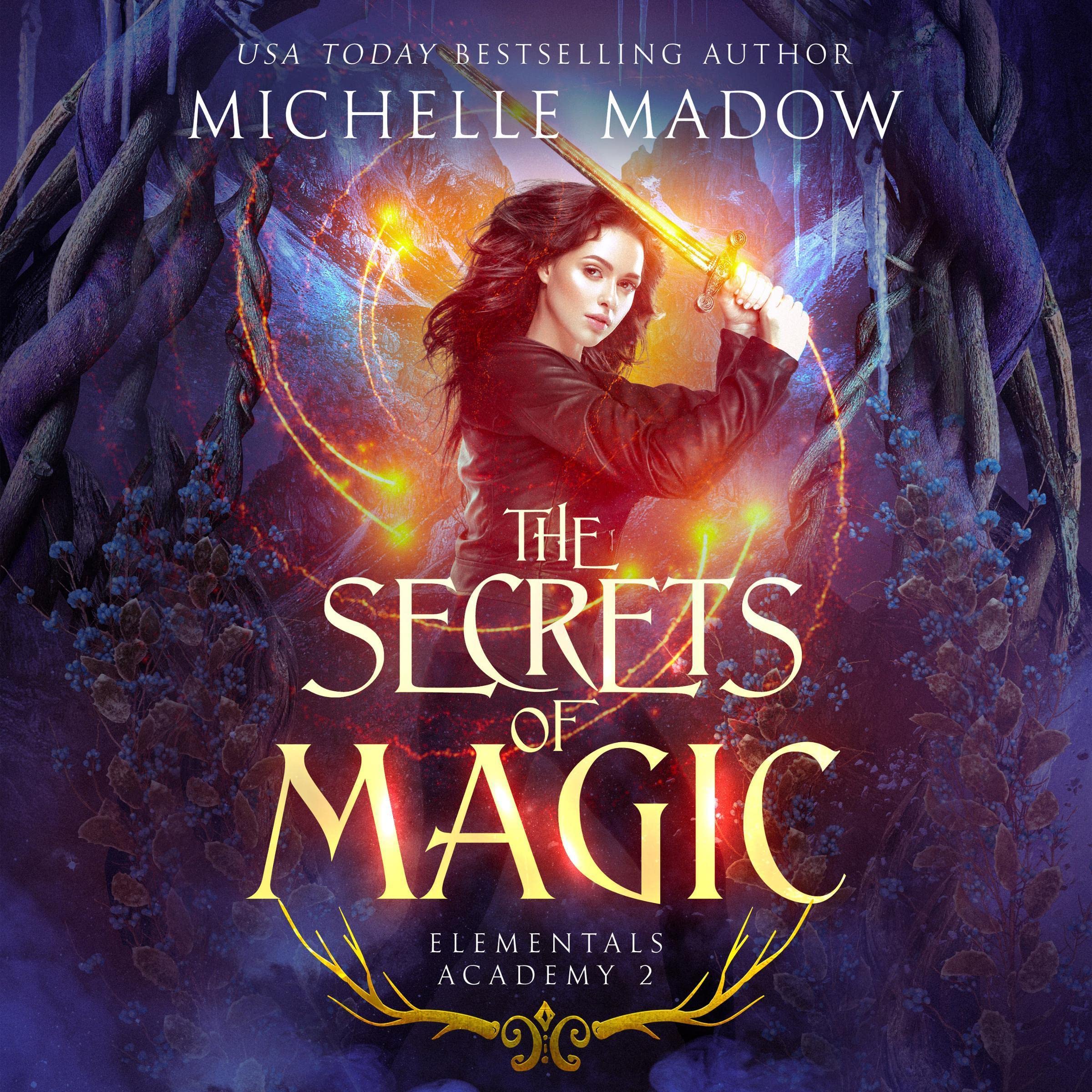 Cover art for Elementals Academy 2: The Secrets of Magic