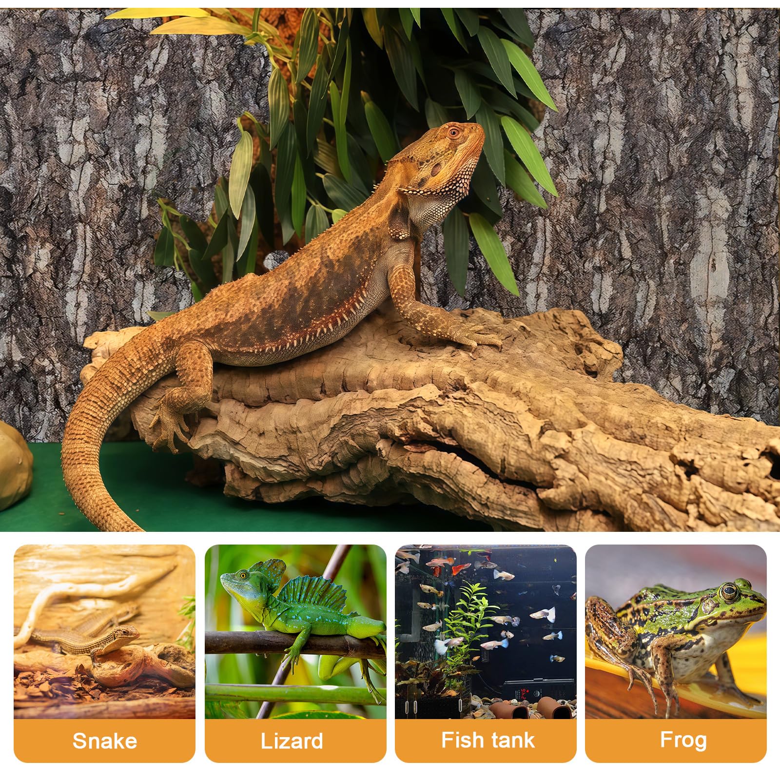 5 Pièces Écorce De Liège Pour Terrarium, 5×5cm*3 + 20×30cm*2 Panneaux De Fond En Écorce De Liège Pour Terrarium, Toiles De Fond En Écorce De Liège,Terrariums En Liège, Pour Lézard, Tortue, Gecko