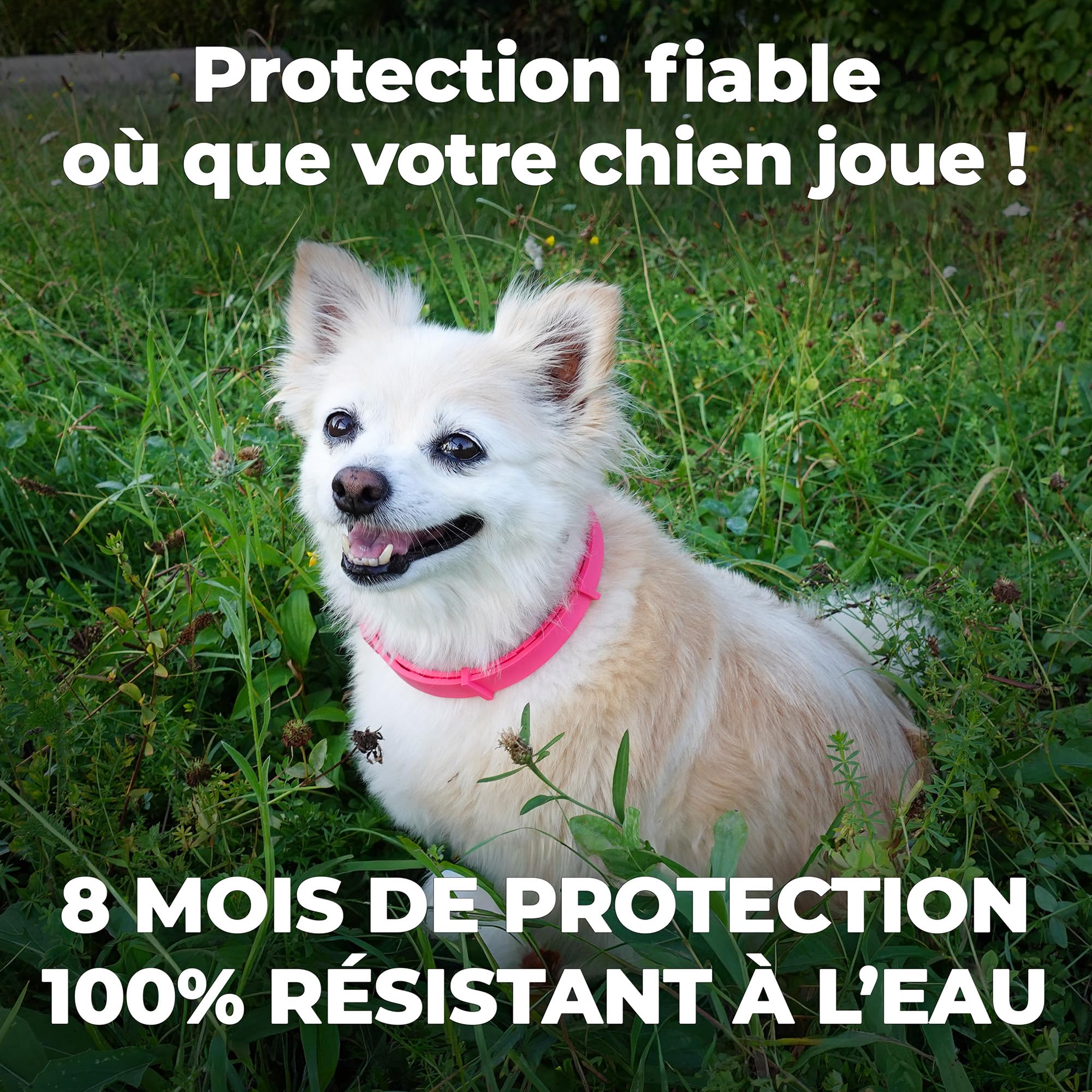 Monked | Collier Naturel pour Chiens sans Produits Chimiques | Réglable pour Petits et Grands Chiens | Protection Anti-tiques et Anti-puces Jusqu’à 8 Mois | Protection Longue durée Hund [Grau]