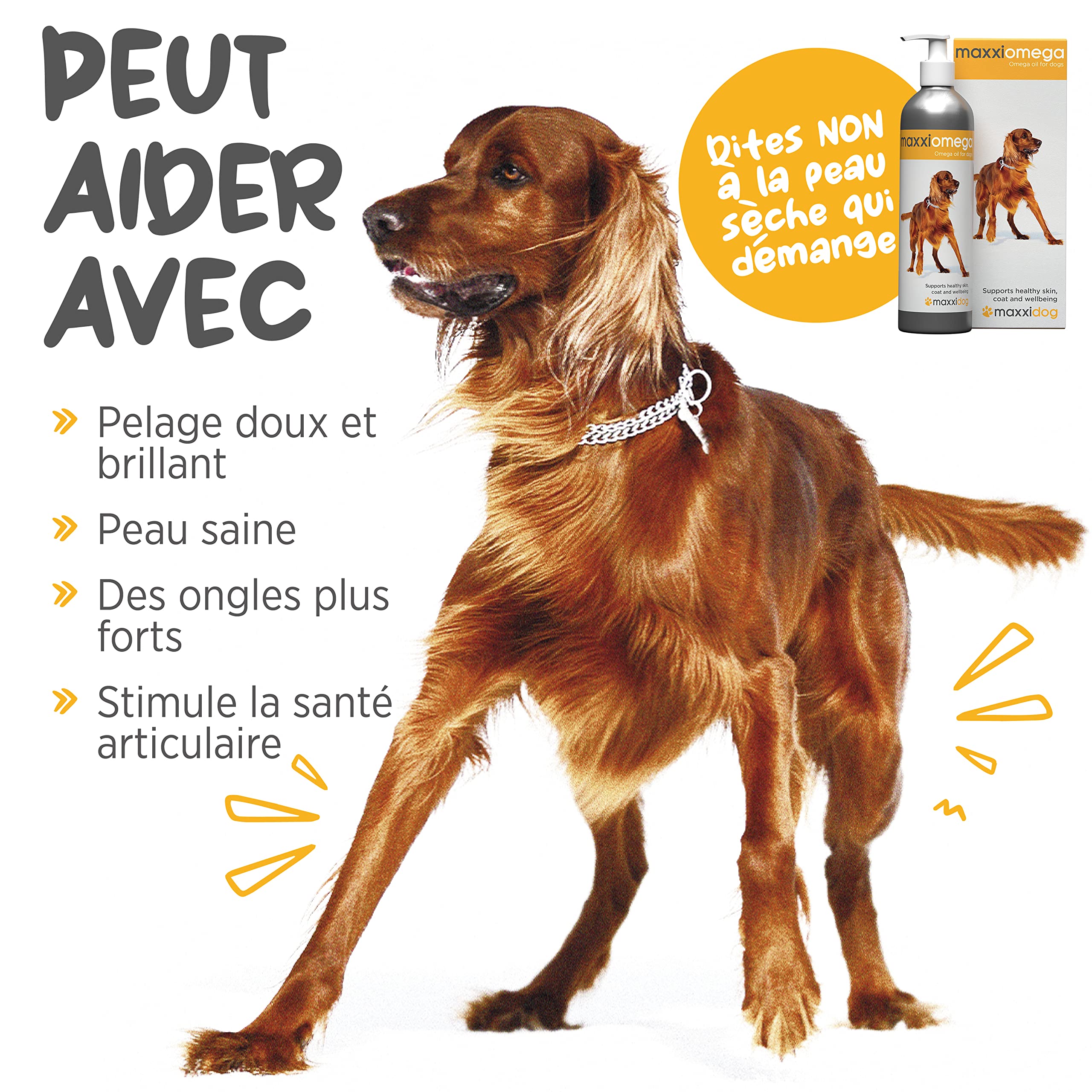 maxxipaws maxxiomega Huile Oméga 3 6 9 pour Chiens - Peau & Pelage 296ml | Aide à maintenir un poil brillant, une barrière cutanée saine, la mobilité, le cœur et les défenses naturelles
