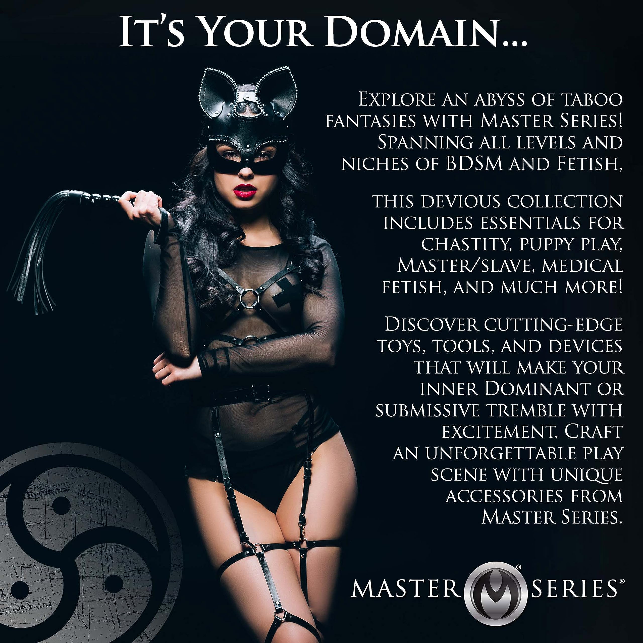 Master Series Black Baller Anal Beads