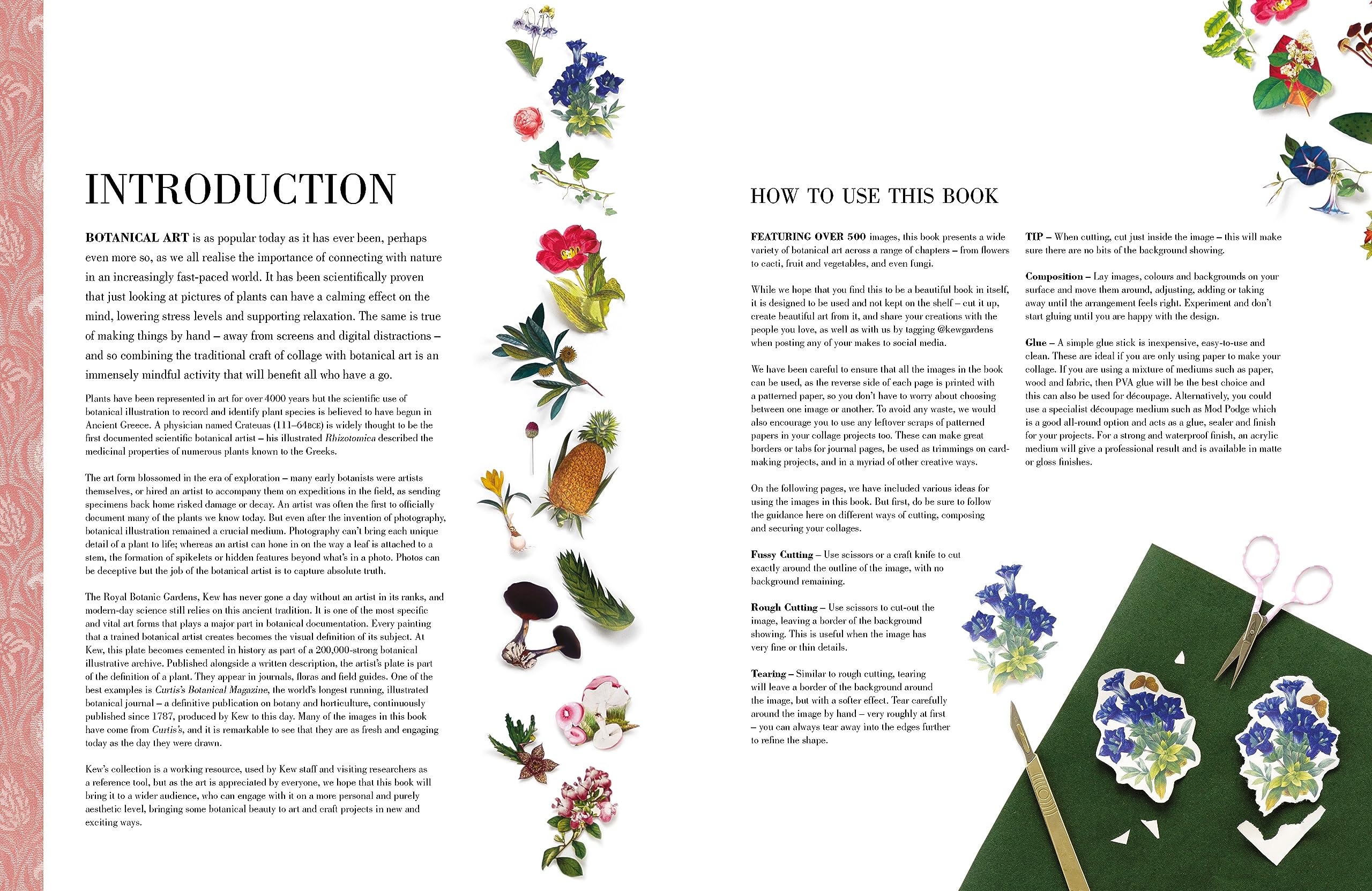 Botanical Art to Cut Out and Collage: Over 500 Botanical Illustrations to Inspire Creativity