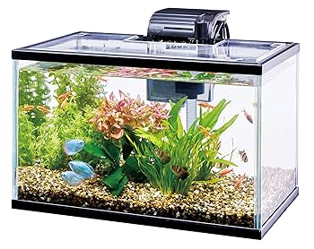 Amazon | テトラ(Tetra) ひろびろワイドアクア 40 | Tetra