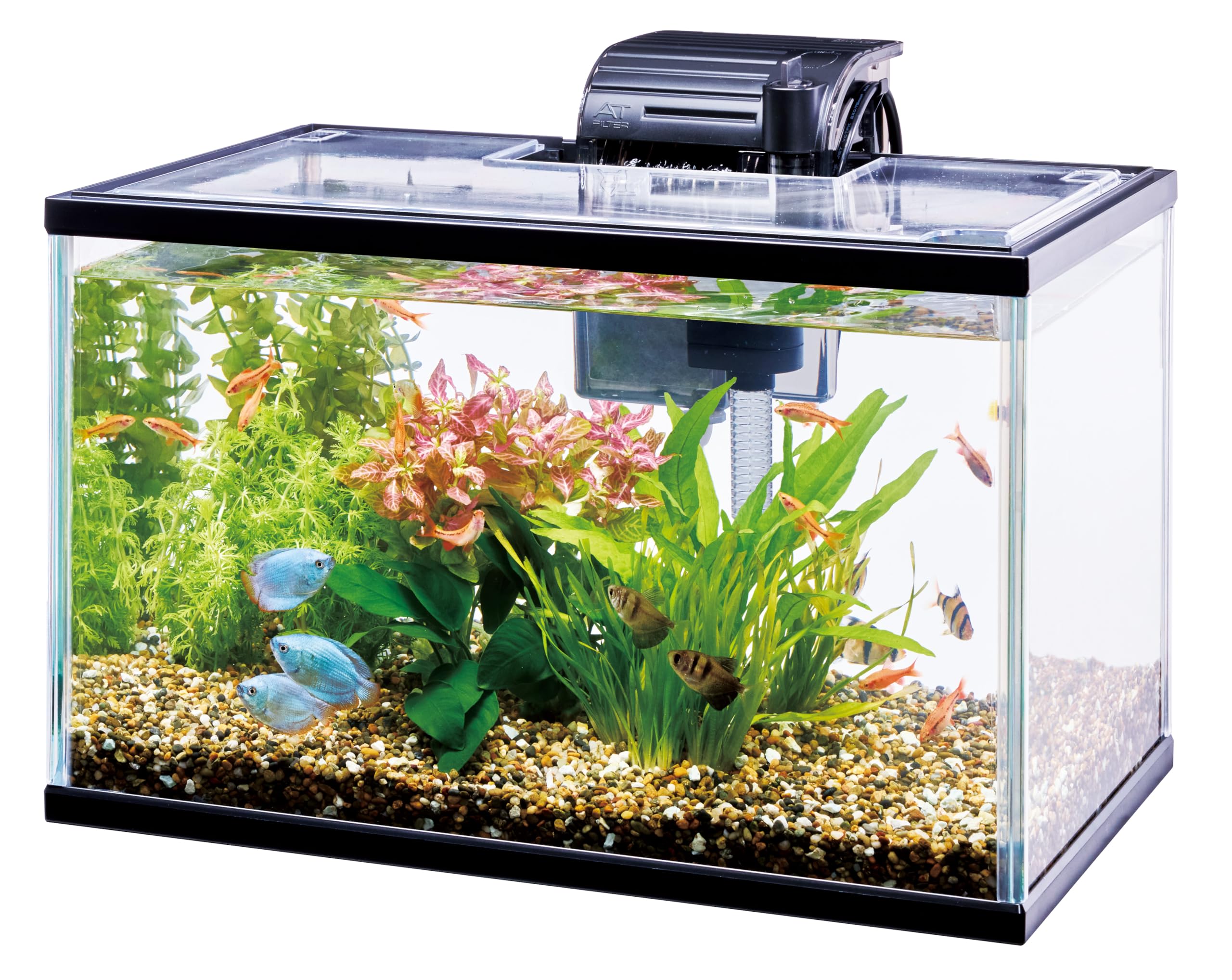 Amazon | テトラ(Tetra) ひろびろワイドアクア 40 お手入れ簡単静かな