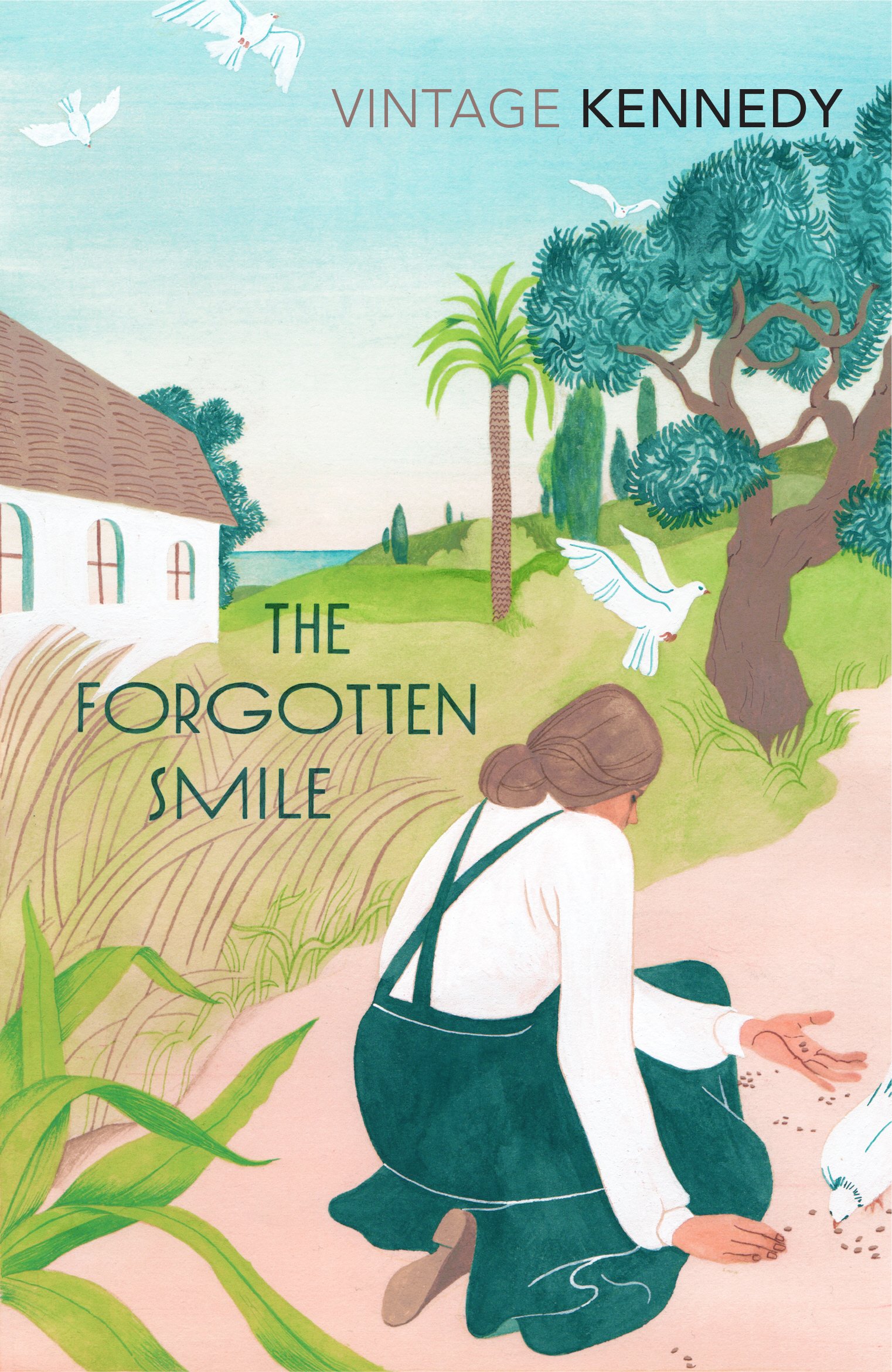Buy The Forgotten Smile — BookShops.in