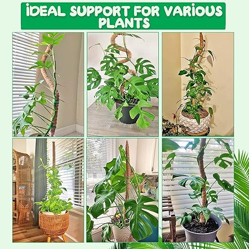 Miniatura 7 de Poste de musgo flexible, poste de musgo de fibra de coco de 47 pulgadas para plantas Monstera y plantas trepadoras, soporte de palo - Estaca para