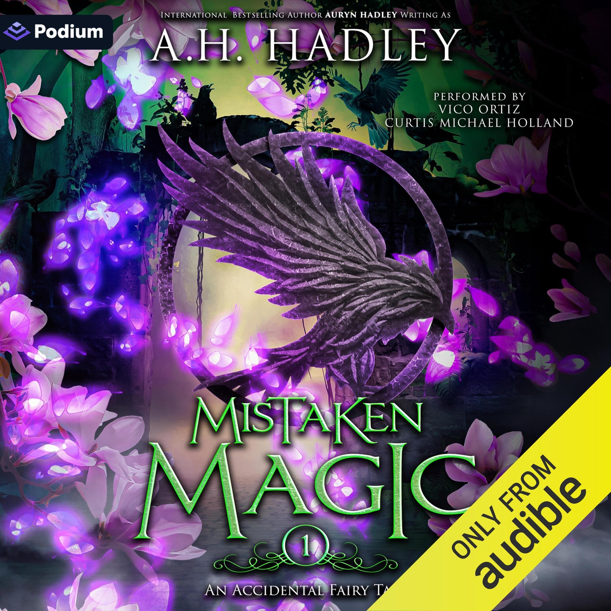 Cover art for Mistaken Magic