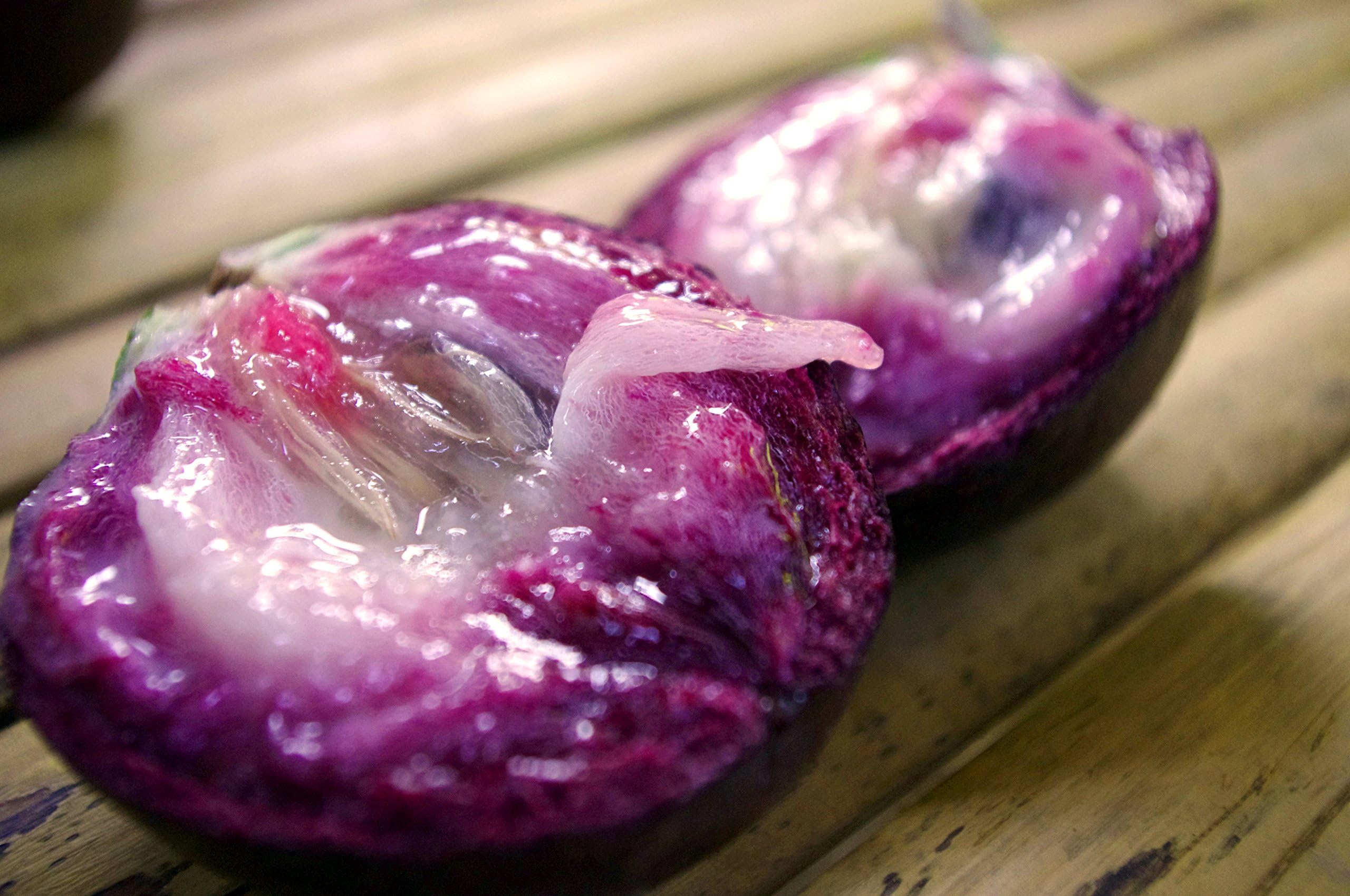 Chrysophyllum Cainito Caimito Purple Star Apple 3 Rare Fresh Seeds LIMITED