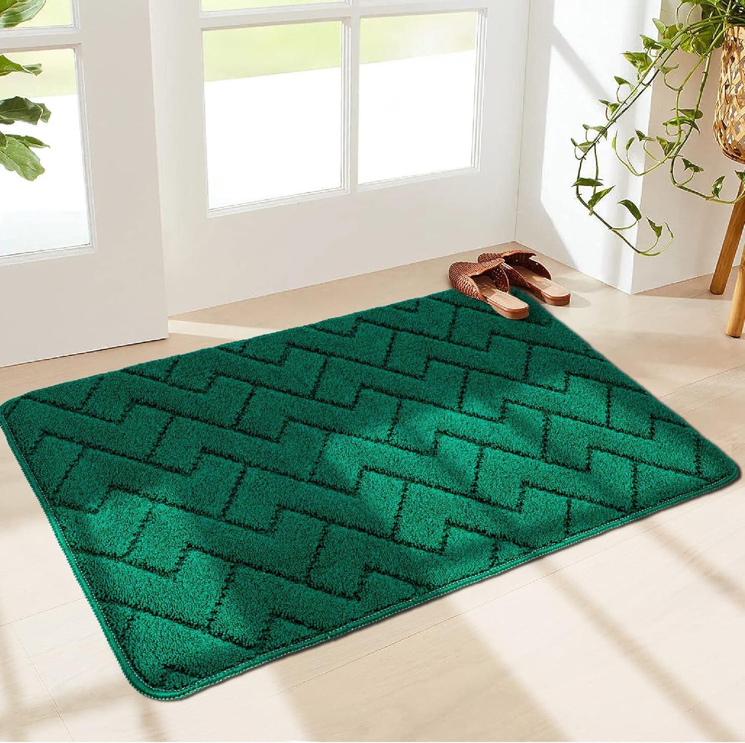 Walensee Indoor Doormat, Front Door Mat for Entrance (50×80cm Green) Machine Washable Entryway