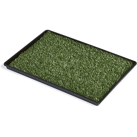 tinkle turf replacement grass