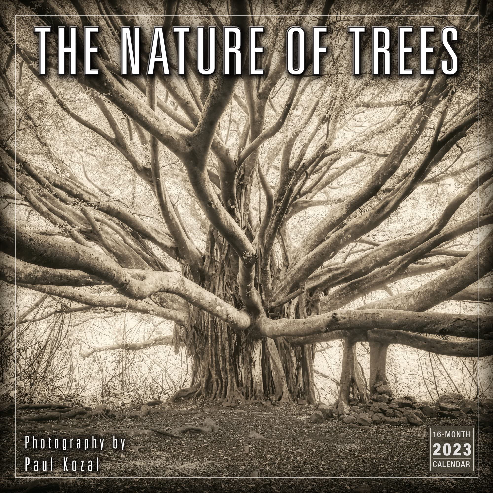 Photo 1 of The Nature of Trees 2023 Wall Calendar, 16-Month Nature Calendar — The Photography of Paul Kozal, 12" x 12"