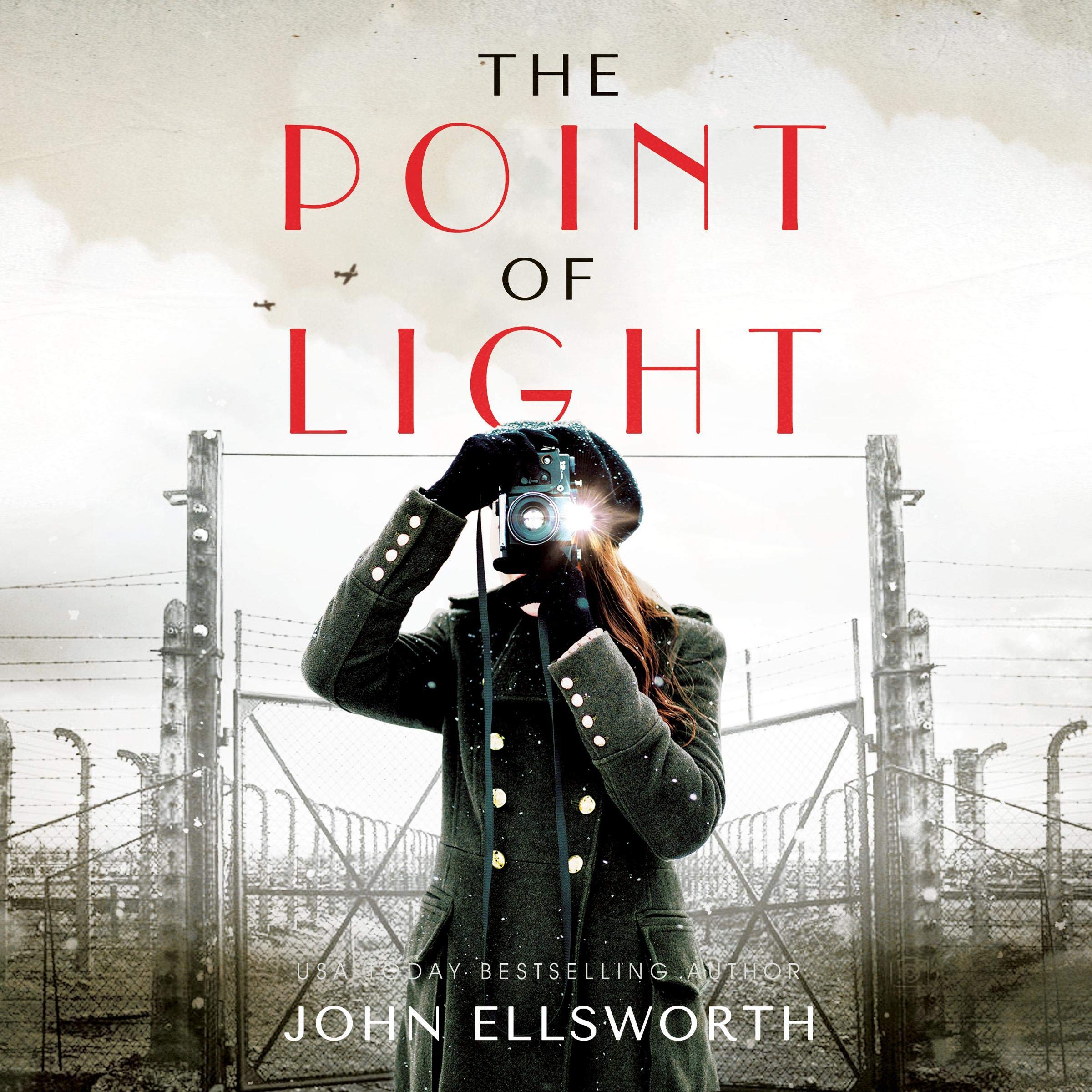 Cover art for The Point of Light