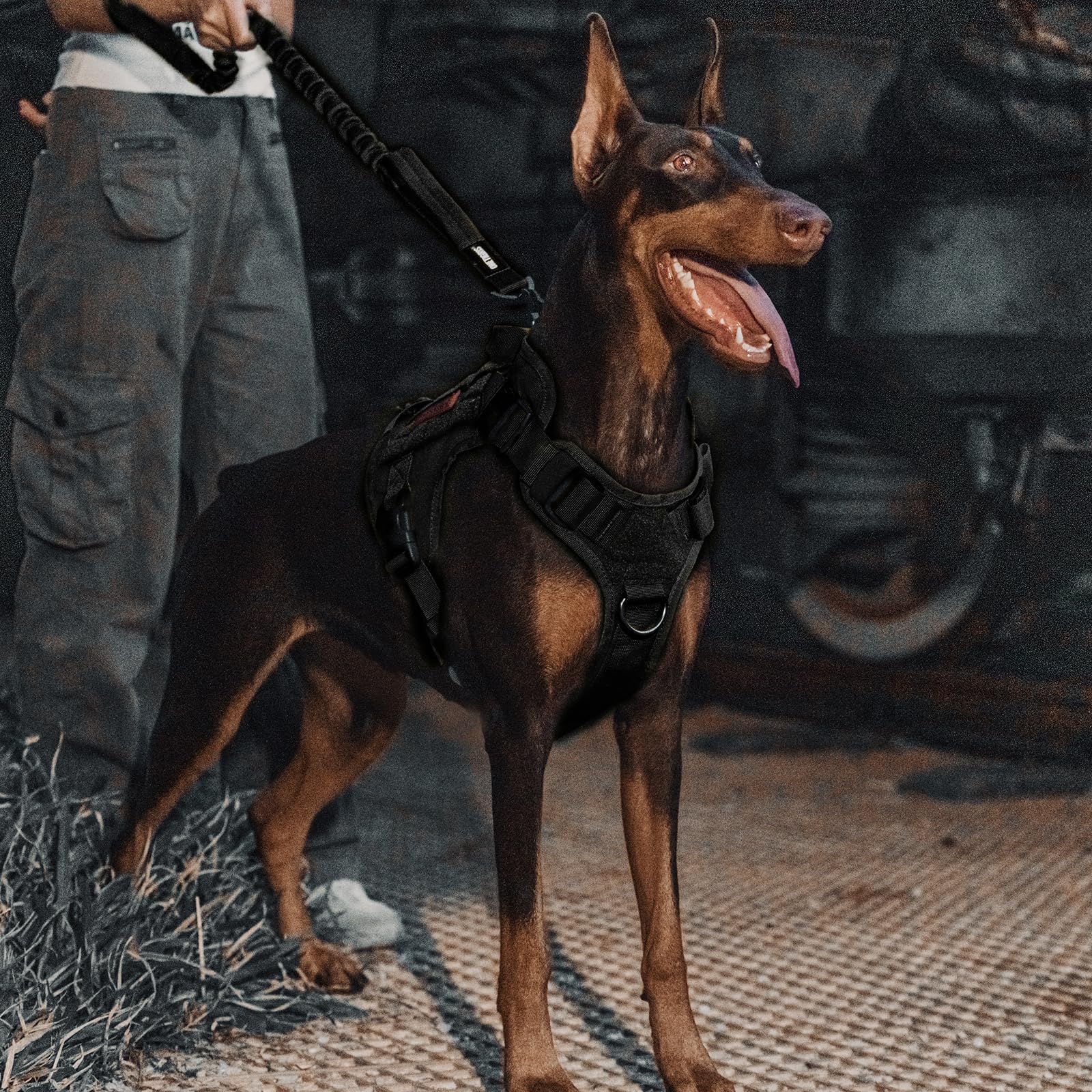 OneTigris Correa para perros con muelle de 86 cm - 120 cm, nailon con diente de tigre, clip de metal y 2 acolchado suave, longitud – negro