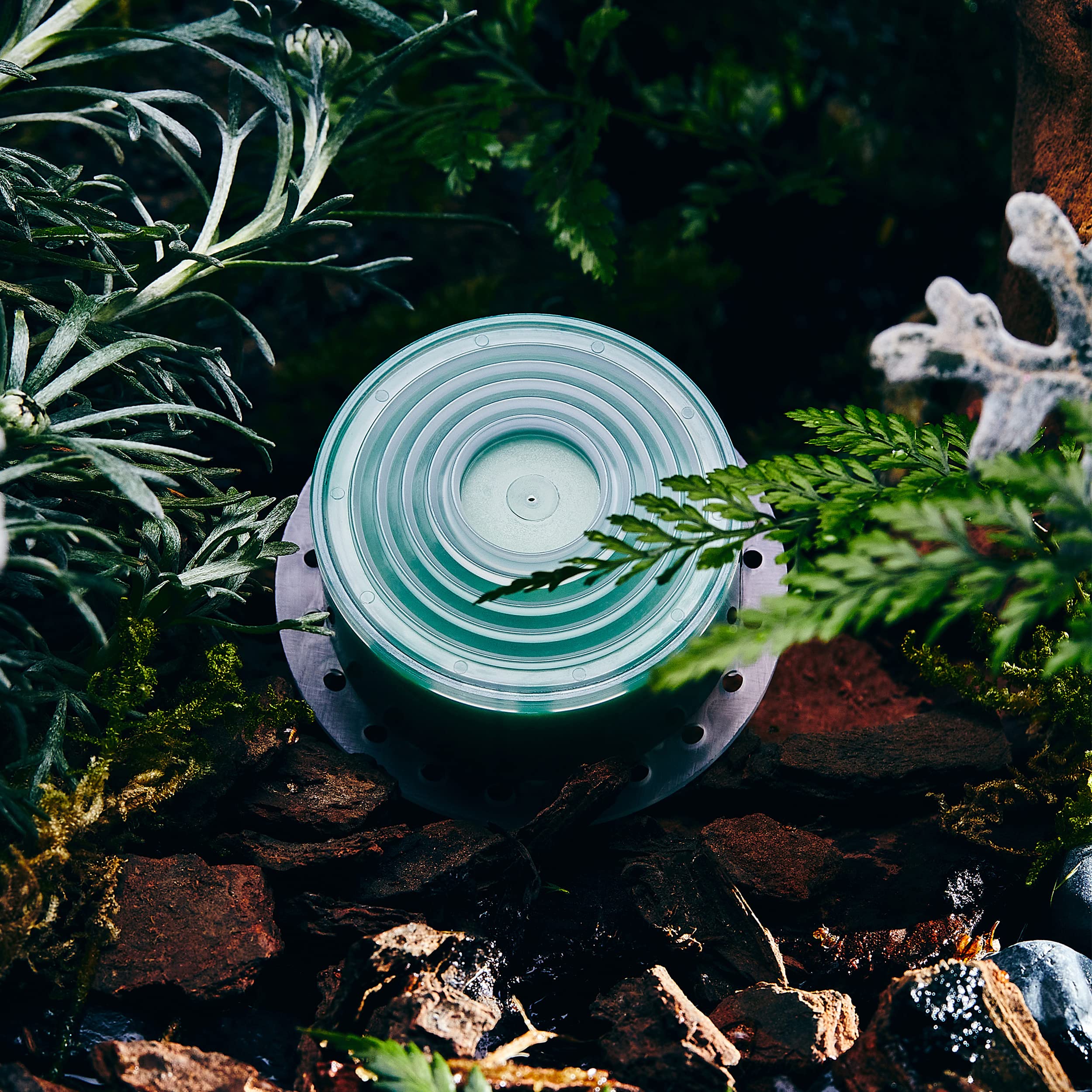 Amazon | BODYLUV ビタミンフィルター【ビタミンフィルターシャワー