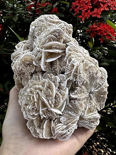 Miniatura 8 de Gran racimo de rosas del desierto, piedras naturales de selenita de rosa del desierto, rosa de yeso del desierto, cristal de rosa de selenita crudo,